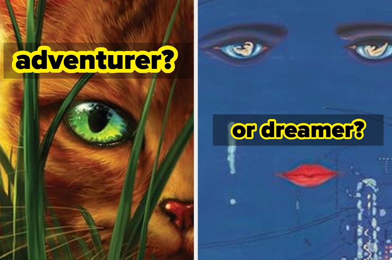 Close-ups of a cat's eye with "adventurer?" text and a painted face with "or dreamer?" text, suggesting a choice between two personas