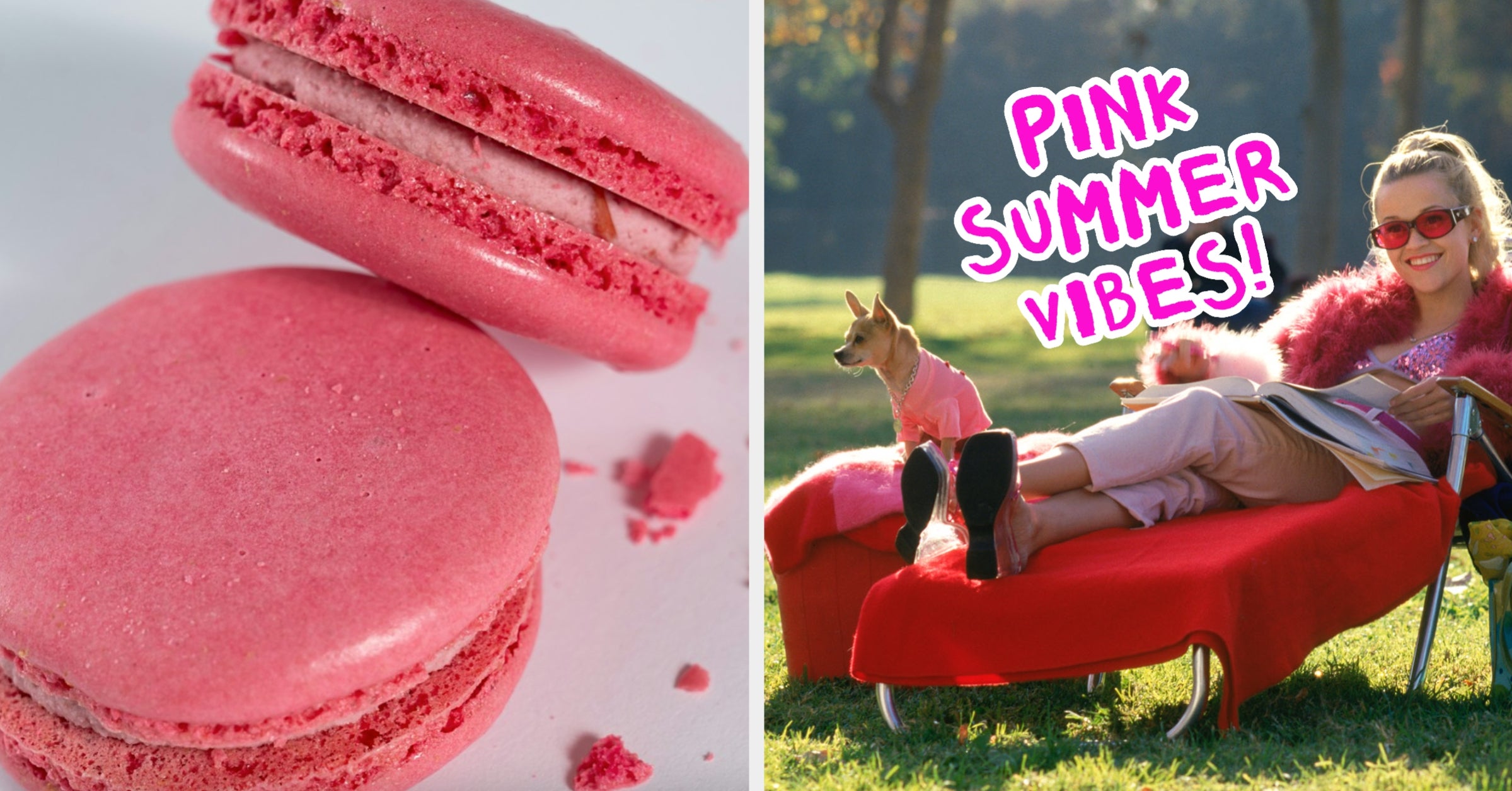 Choose Some Pink Things And We'll Reveal Which "Legally Blonde" Character Matches Your Summer Vibe