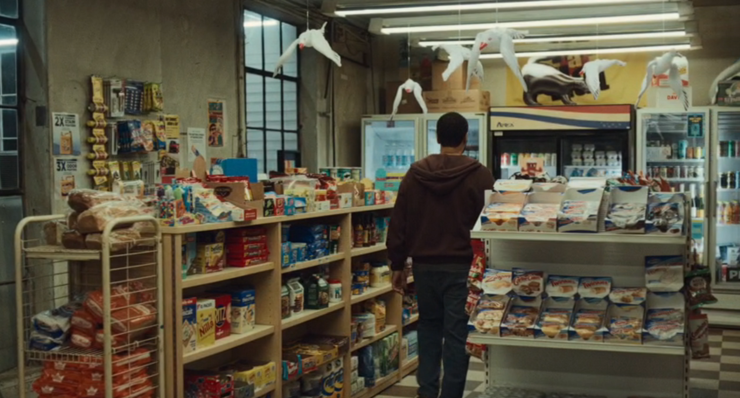 Person successful  a convenience store   aisle with snacks and fridge; seagulls bent  from the ceiling