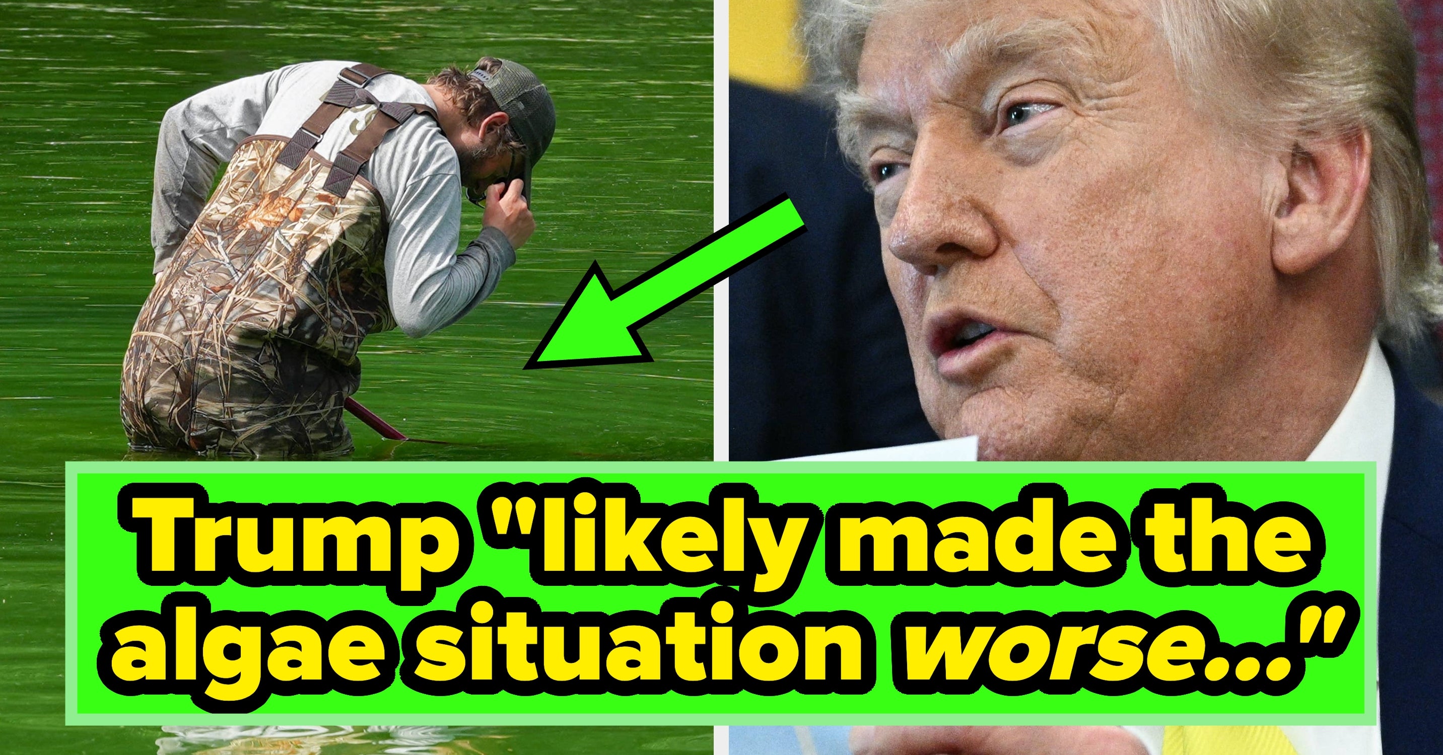 Trump's Algae-Ridden Reflecting Pool Has Given "MAGA" A New Meaning, And It's Cracking People Up