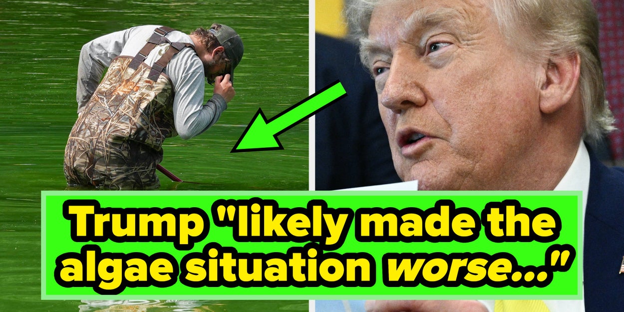 Trump's Pool Mishap Gives MAGA A Hilarious Twist