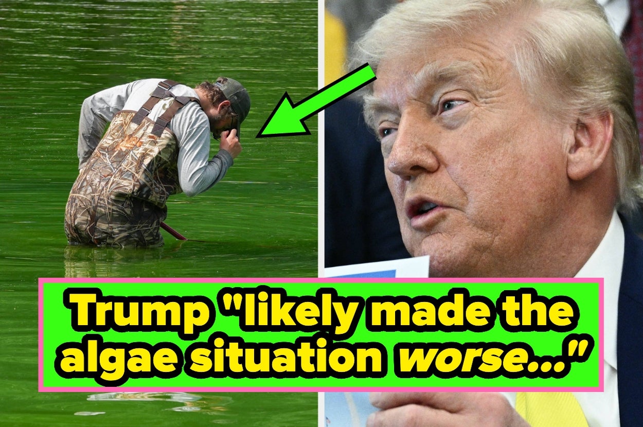 The Term "MAGA" Has A New Meaning After Trump's Reflecting Pool Mishap, And It’s Genuinely Hilarious
