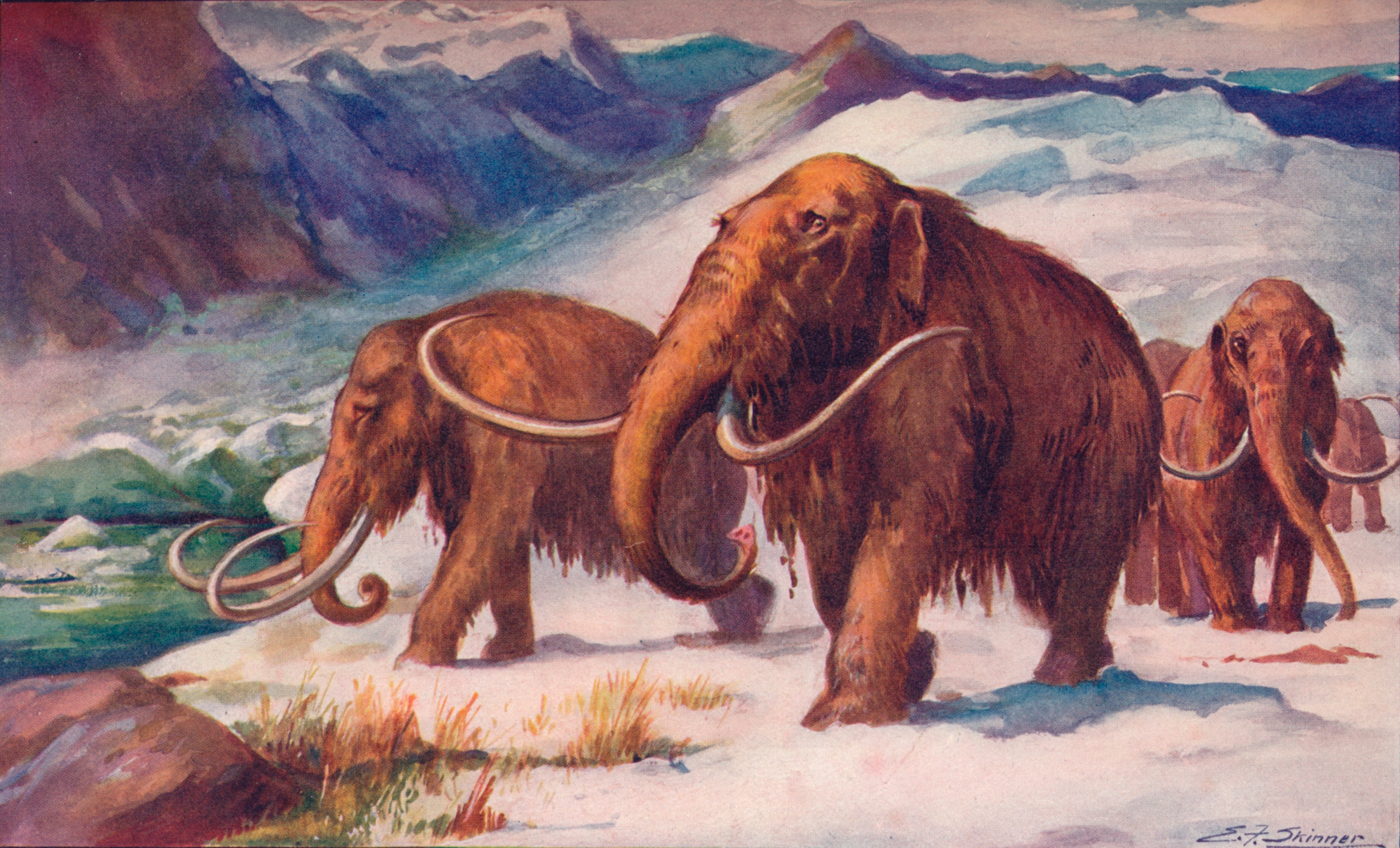 Woolly mammoths walking successful a snowy, mountainous landscape, depicted successful an creator illustration