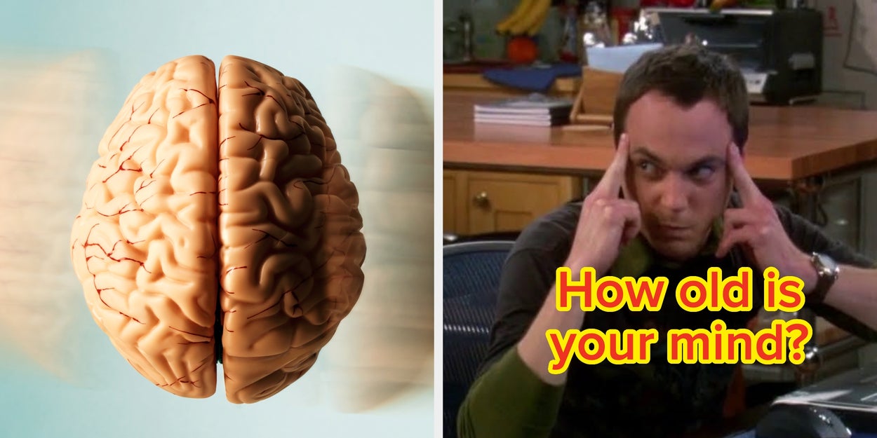 How Old Is Your Mind?