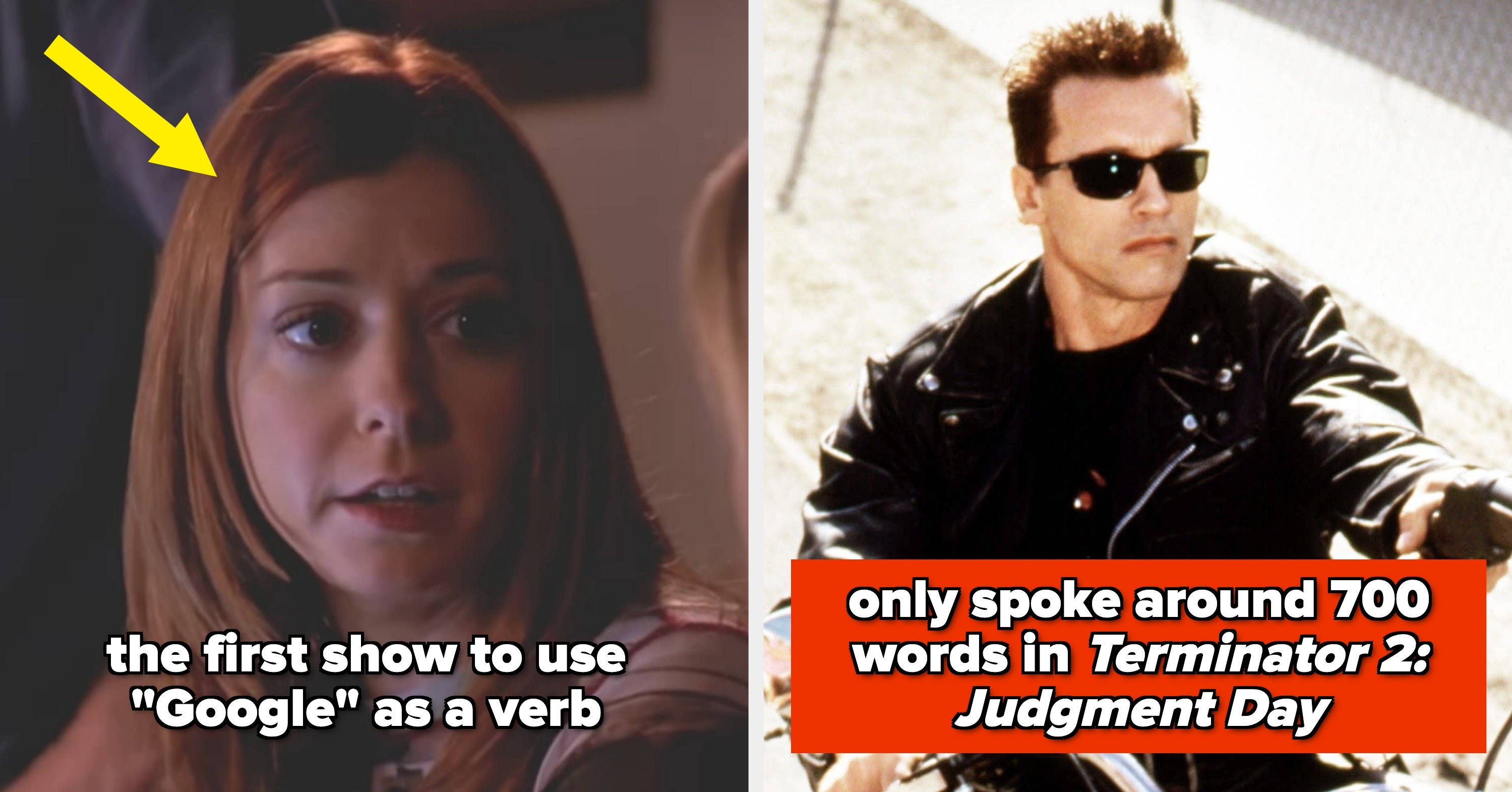 21 Random Pop Culture Facts That'll Live In Your Head Rent-Free After You Learn Them