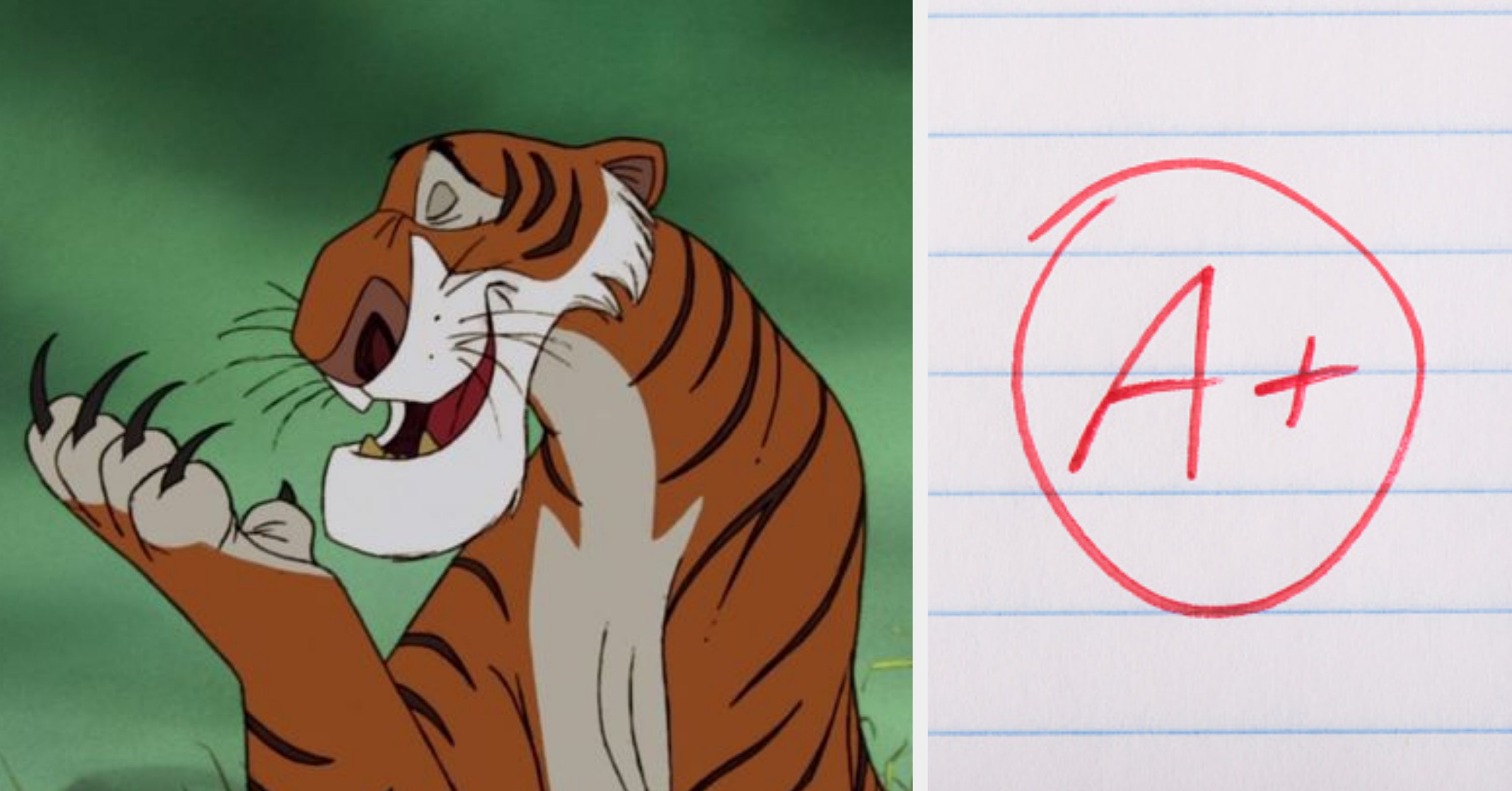 If You Can't Get At Least 6 On This Animal Quiz, You Might Need To Go Back To Elementary School