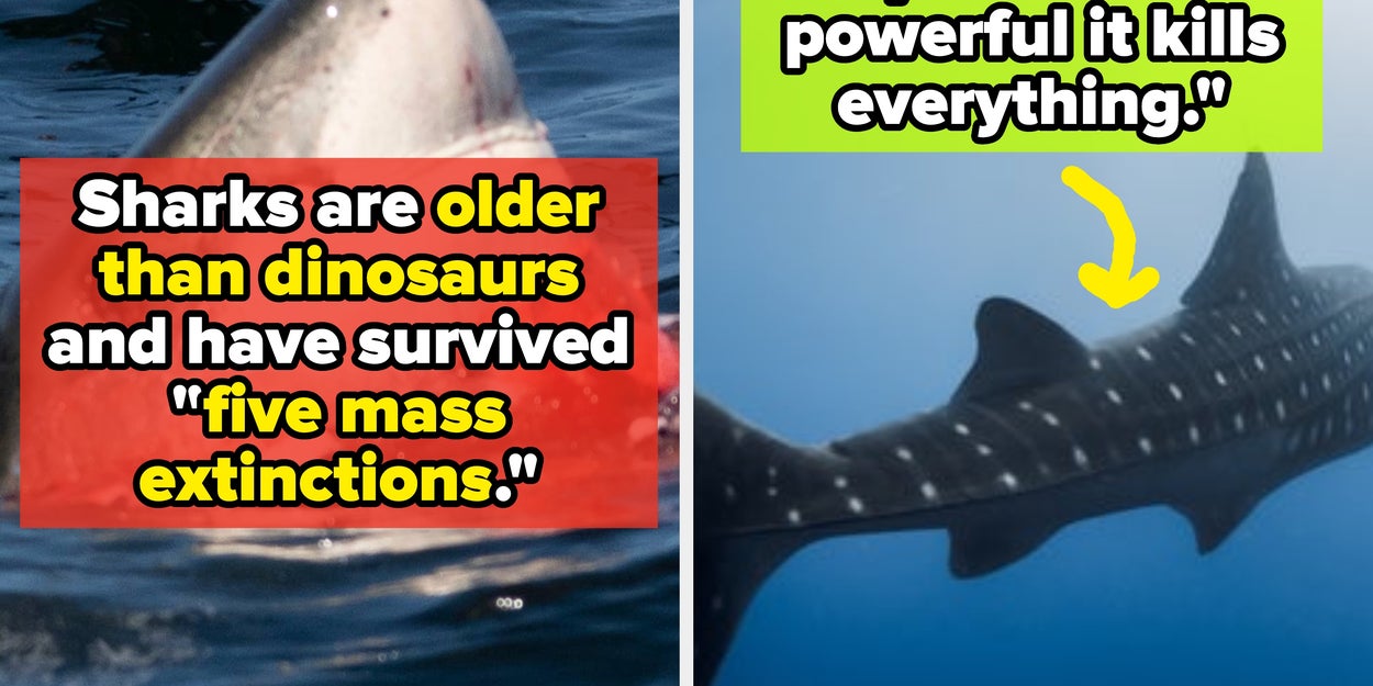 People Share Scary Real Facts About The Deep Ocean