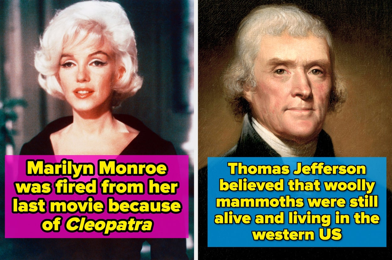 My Mind Is Very Blown Over These 10 Facts That Sound Made Up But Are Actually 10000% True