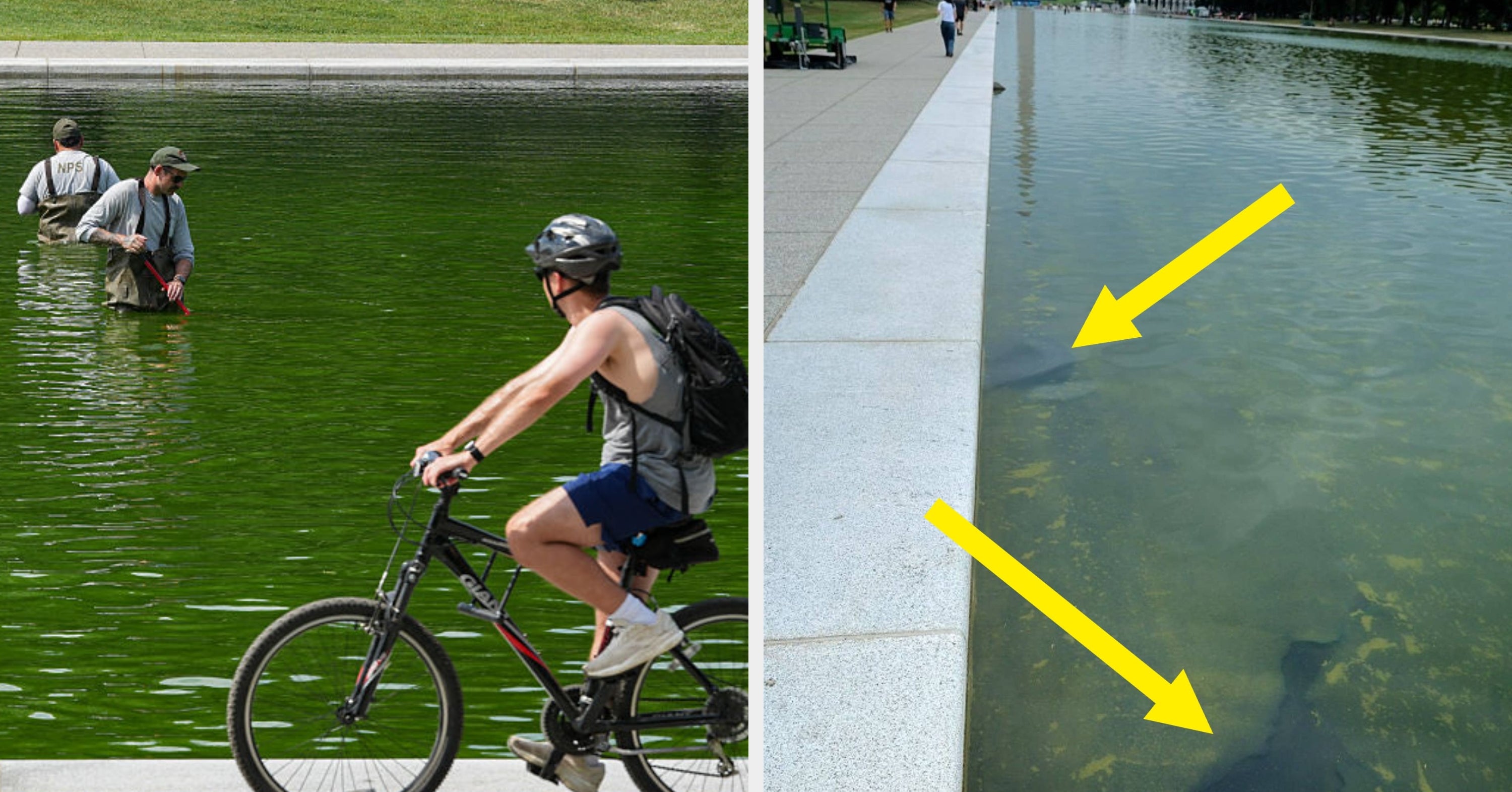 The Hydrogen Peroxide Disaster Just Got Even Worse