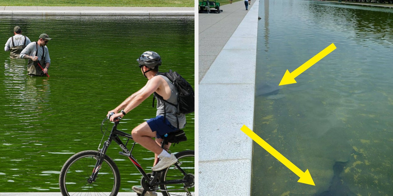 The Hydrogen Peroxide Disaster Just Got Even Worse