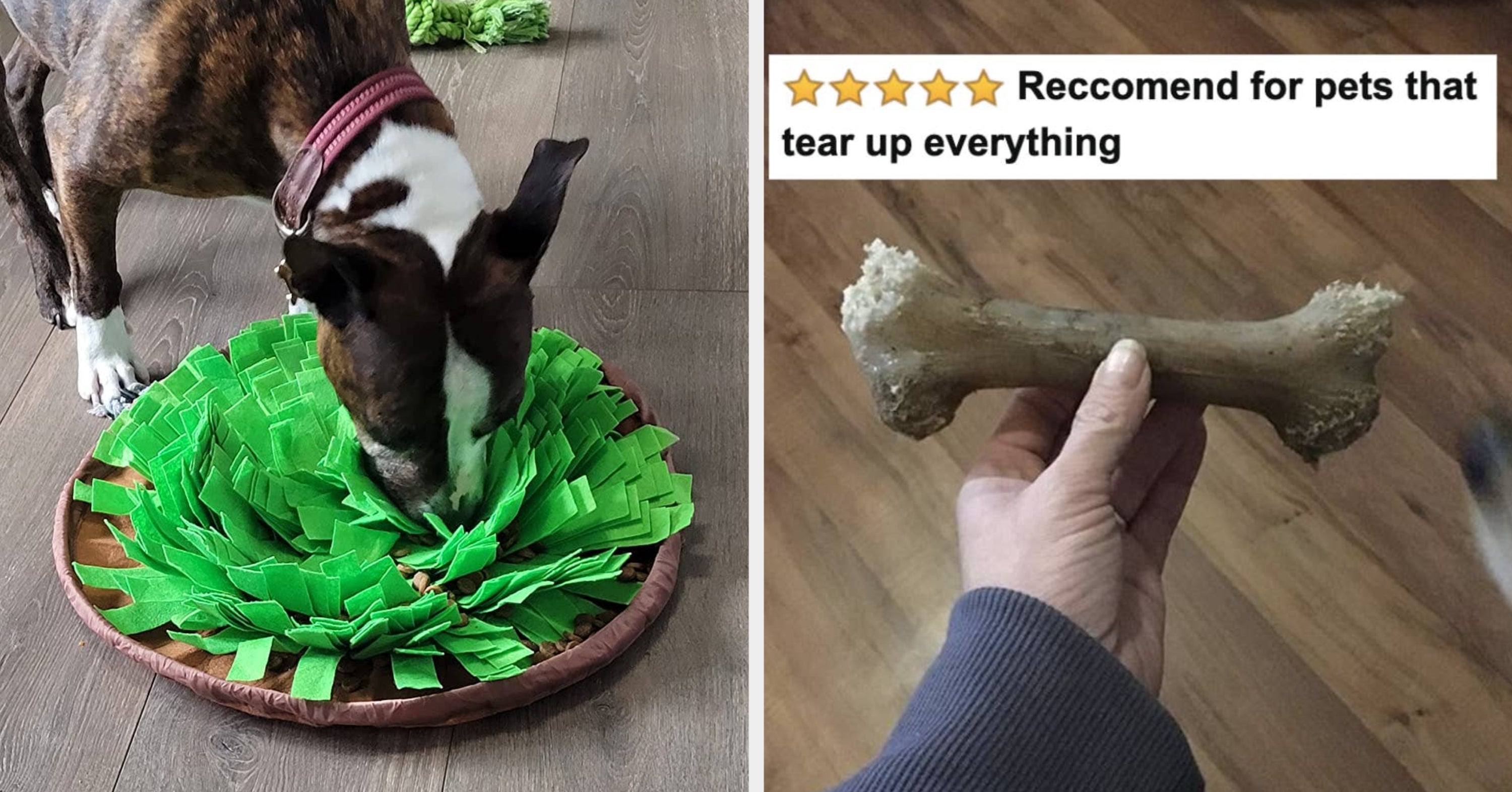 27 Things That’ll Help Keep Your Dogs Entertained Indoors When It’s Scorching Outside