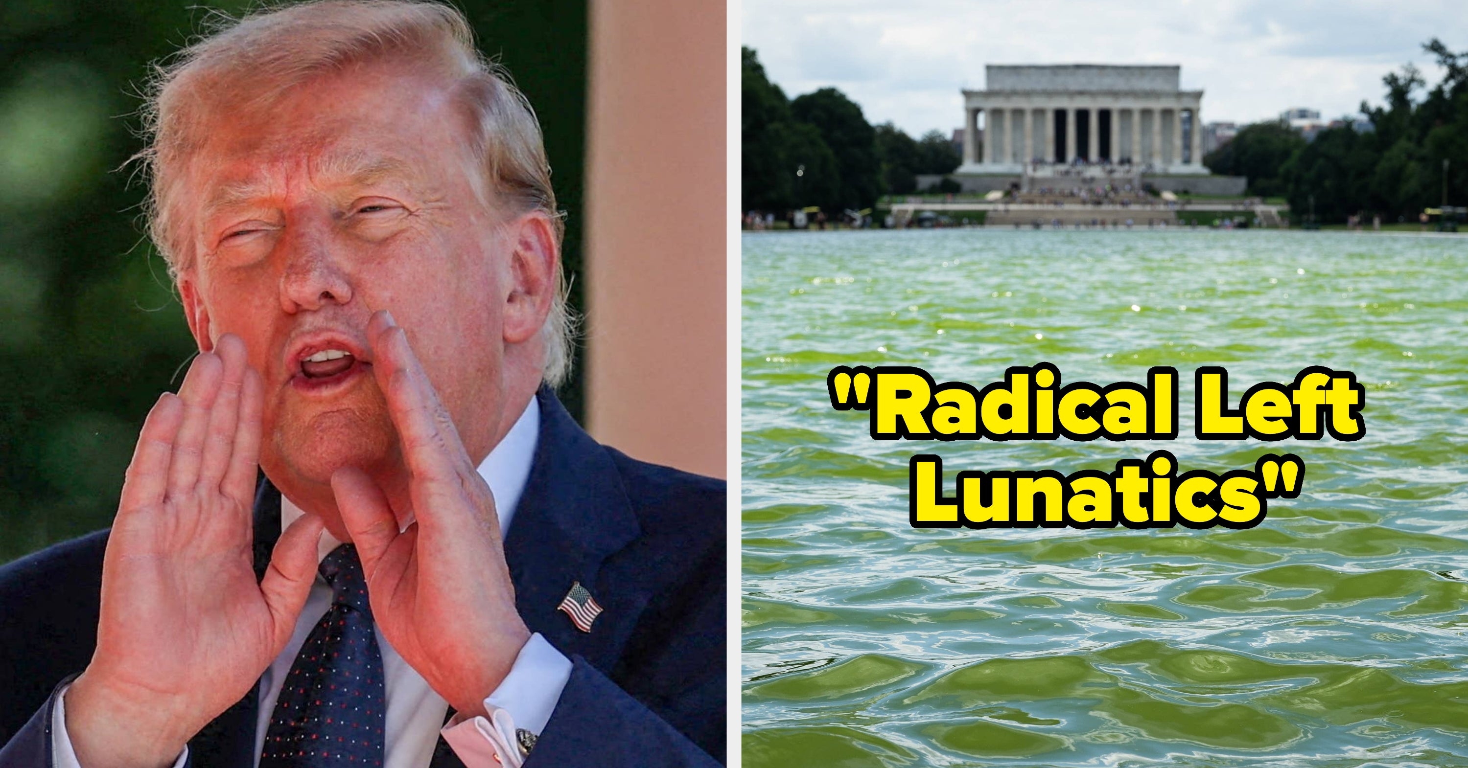 Sooo, Donald Trump Is Blaming "Radical Left Lunatics" For Vandalizing The Reflecting Pool, And It's Sooo Predictable