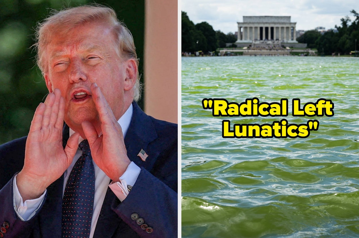 Sooo, Donald Trump Is Blaming "Radical Left Lunatics" For Vandalizing The Reflecting Pool, And It's Sooo Predictable