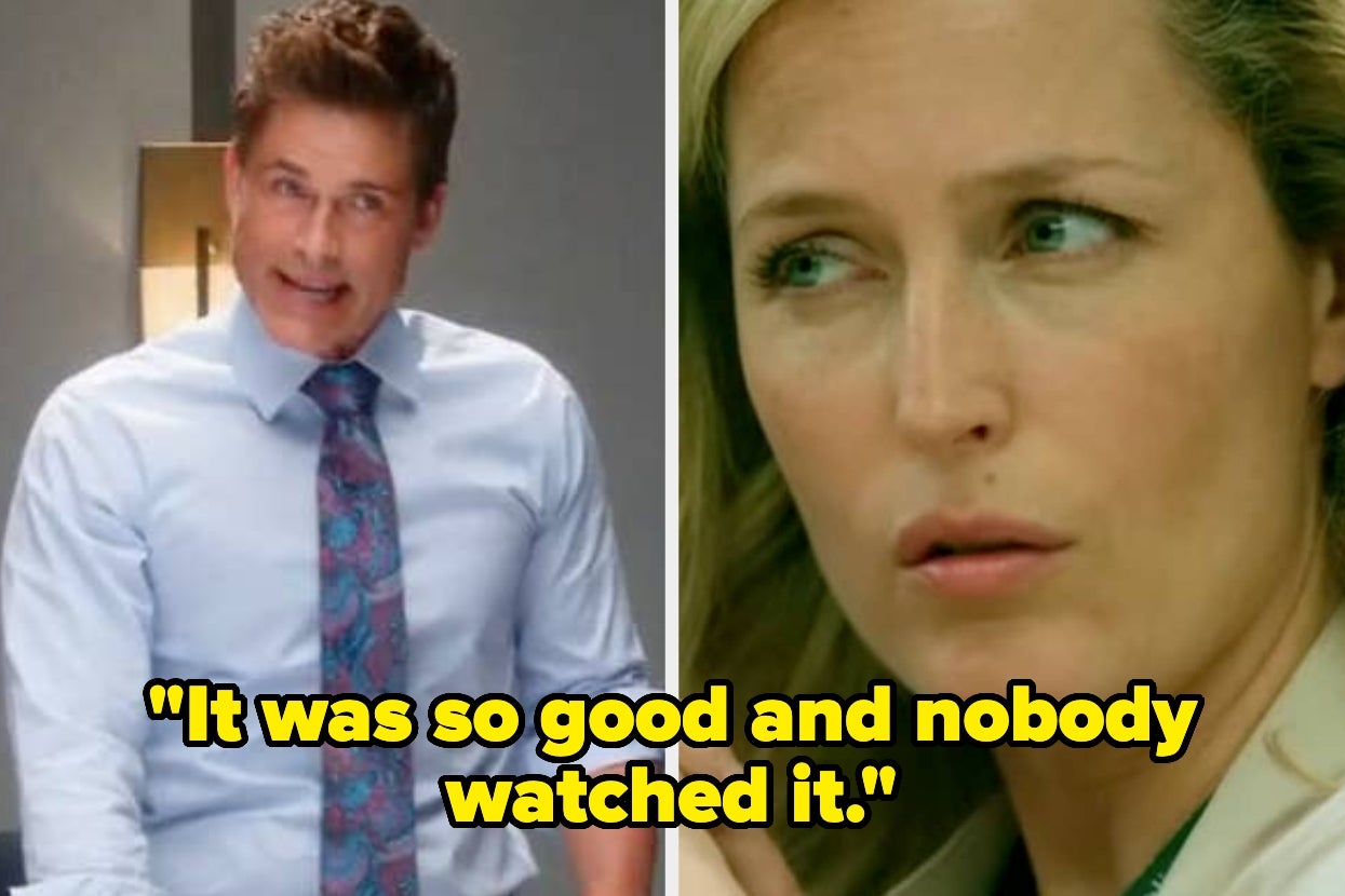 People Are Sharing The Obscure, Underrated TV Shows That Should Have Been Appointment Television