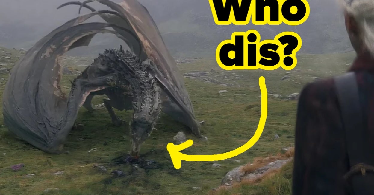 How Many Dragons Can You Name From "House Of The Dragon"?
