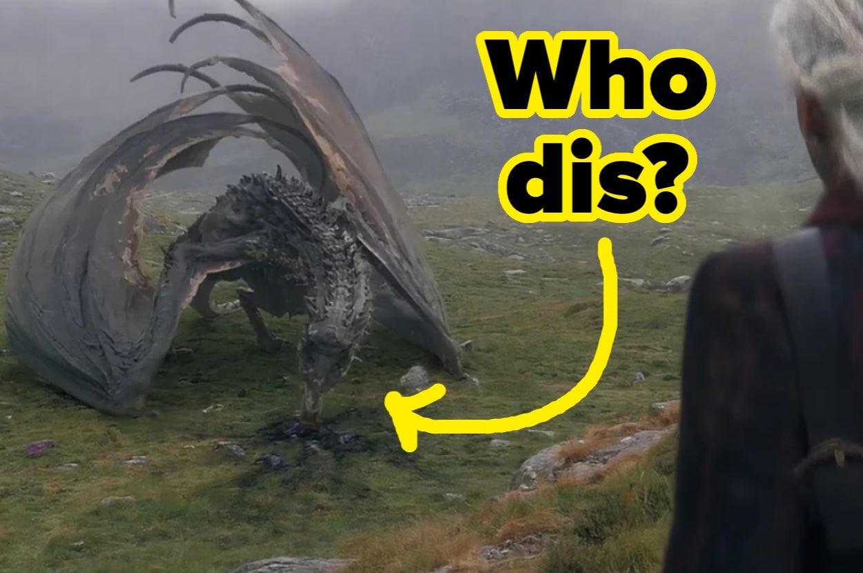 How Many Dragons Can You Name From "House Of The Dragon"?