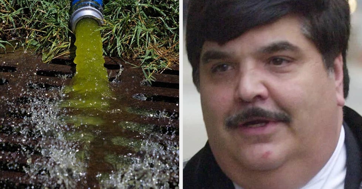 The Internet Is Losing Its Mind Over A Photo Of The "Comic Book Villain" Hired To Fix The Reflecting Pool