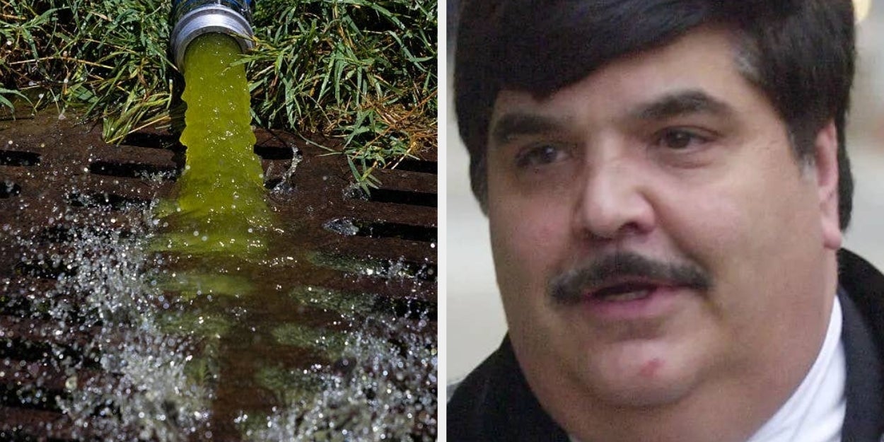 The Guy Hired To Fix The Reflecting Pool Is Going Viral