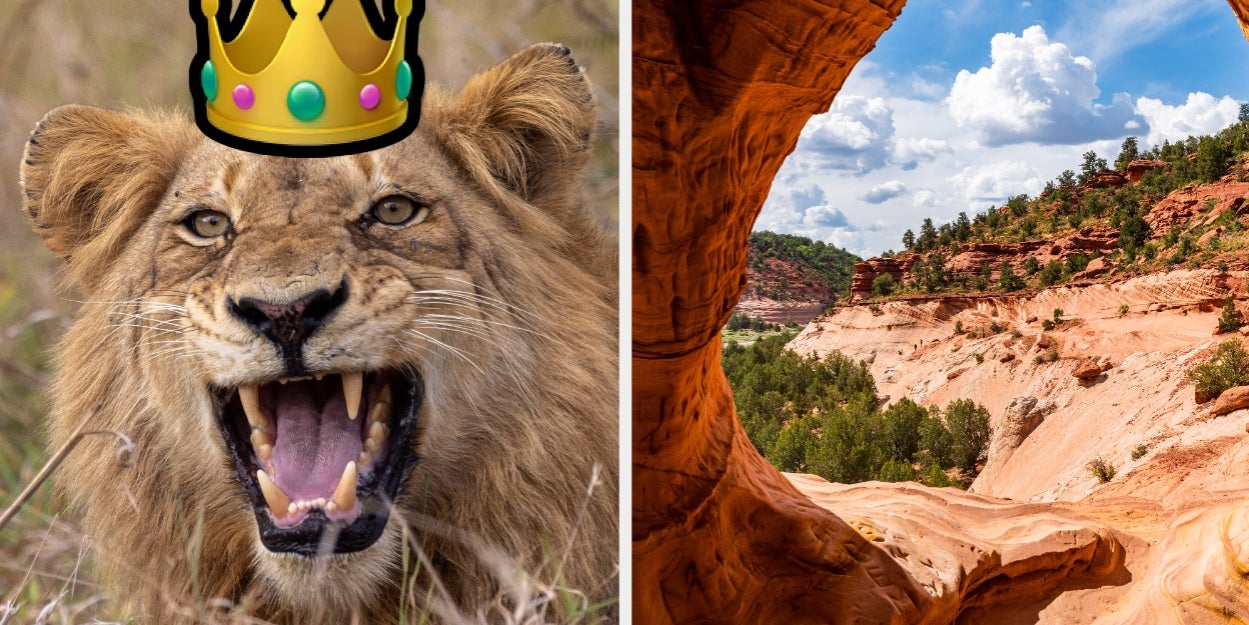 Embrace Your Animal Side And Get A National Park To Visit This Summer!