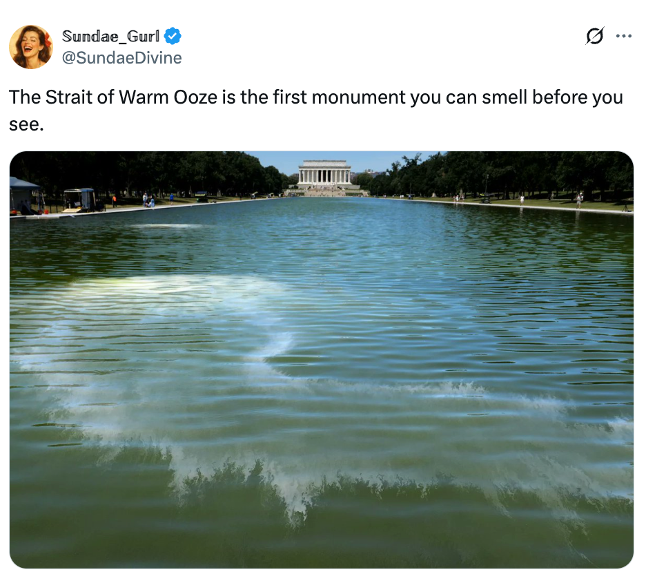 Foto kolam reflektif dengan tweet lucu di atas: 