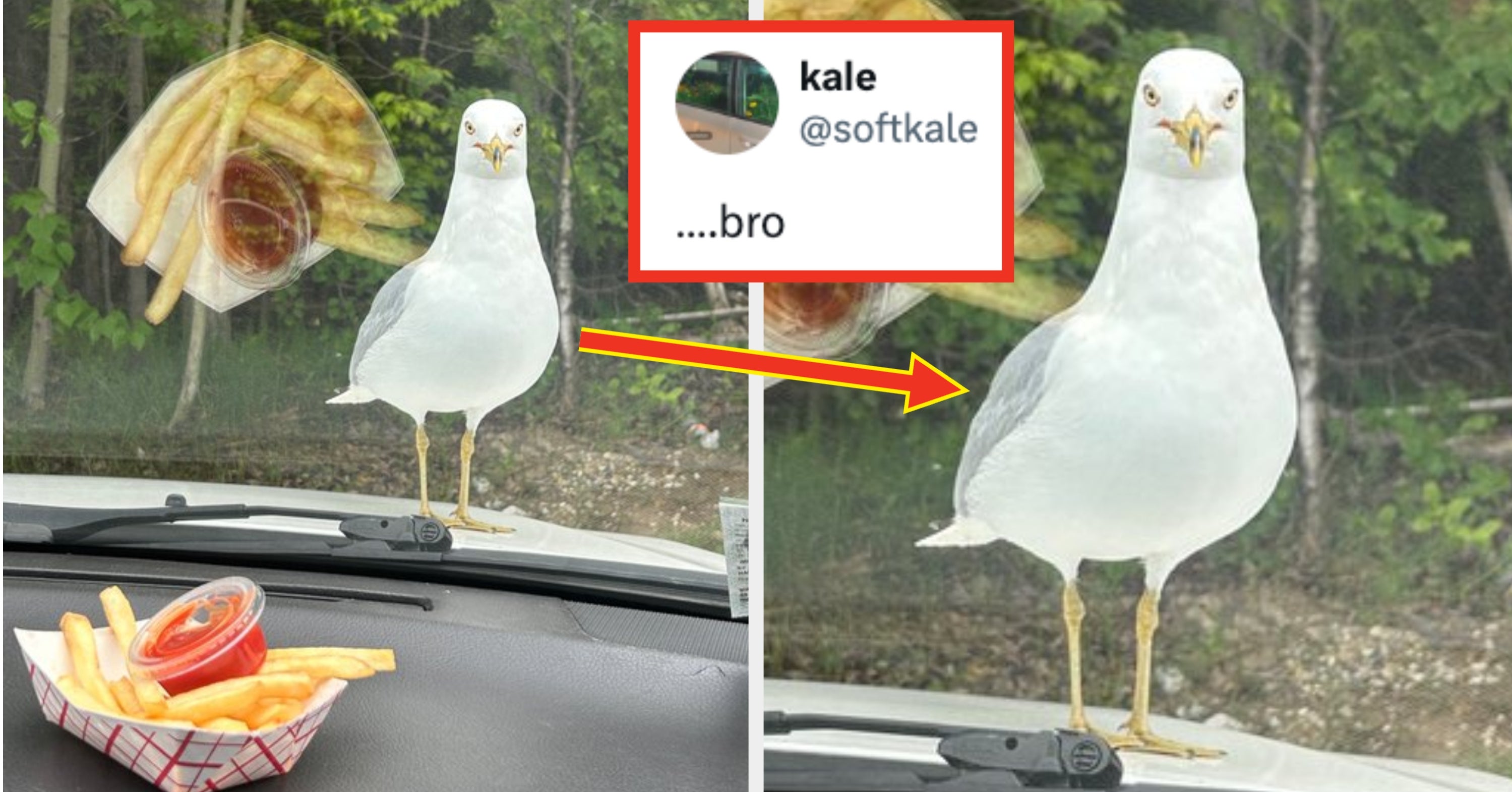 "I Told Everyone In My Class You Were 51": I Laughed So Hard At These 37 Fails From Last Week, I Know I'm Going STRAIGHT To The Bad Place