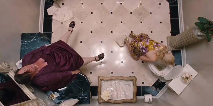 Melissa McCarthy pooping successful  a descend  while Wendi McLendon-Covey pukes successful  a toilet successful  Bridesmaids