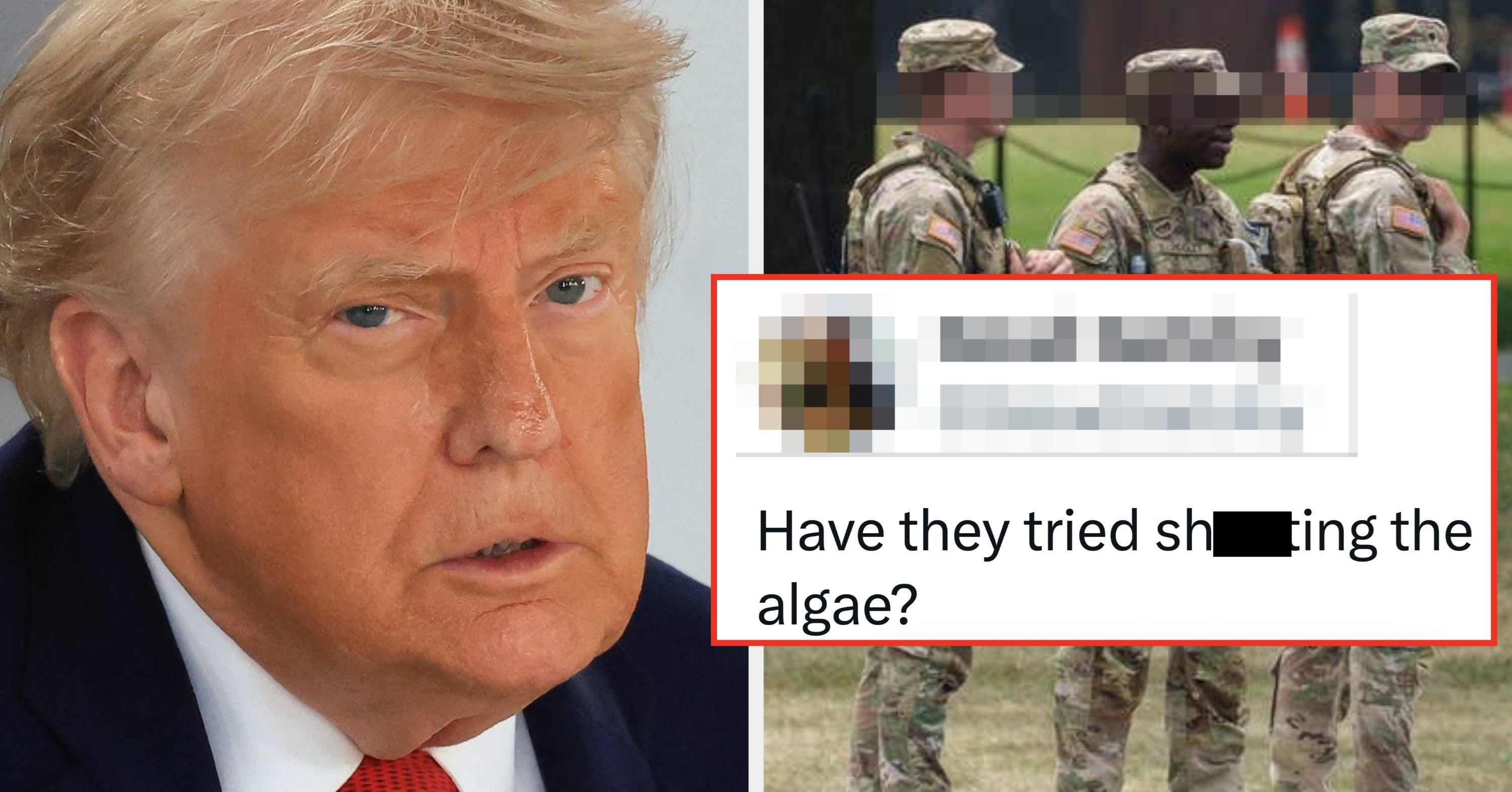 People Are Calling The Trump Administration "Dumb" Over These Viral Pics Of The National Guard Watching Over The Reflecting Pool