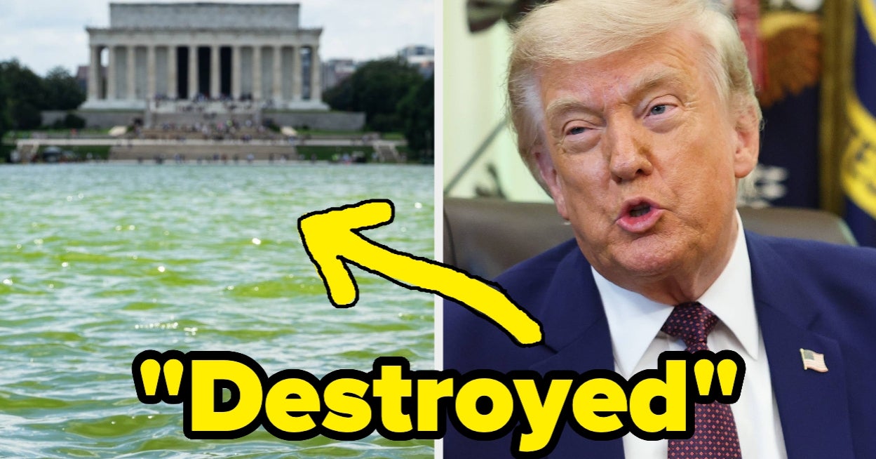 Trump Took To Social Media For A Nighttime Rant Blaming 1 Type Of Person For His Reflecting Pool Disaster, And It'd Be Hilarious If It Wasn't So Sad