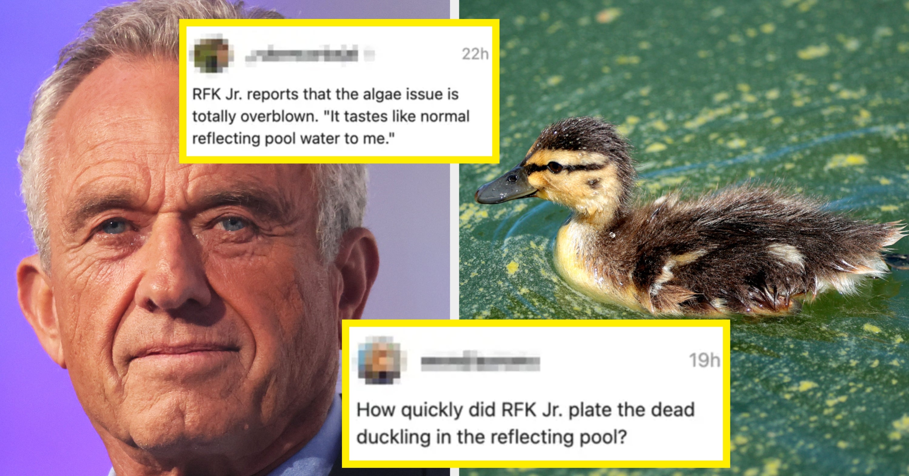 "I Never Thought I'd Be Cheering On Algae But Here We Are": I'm Making The Decision To Laugh, Not Cry About Politics (For Now), So Here Are 34 Funny Posts About This Last Week That Gave Me A Good Giggle
