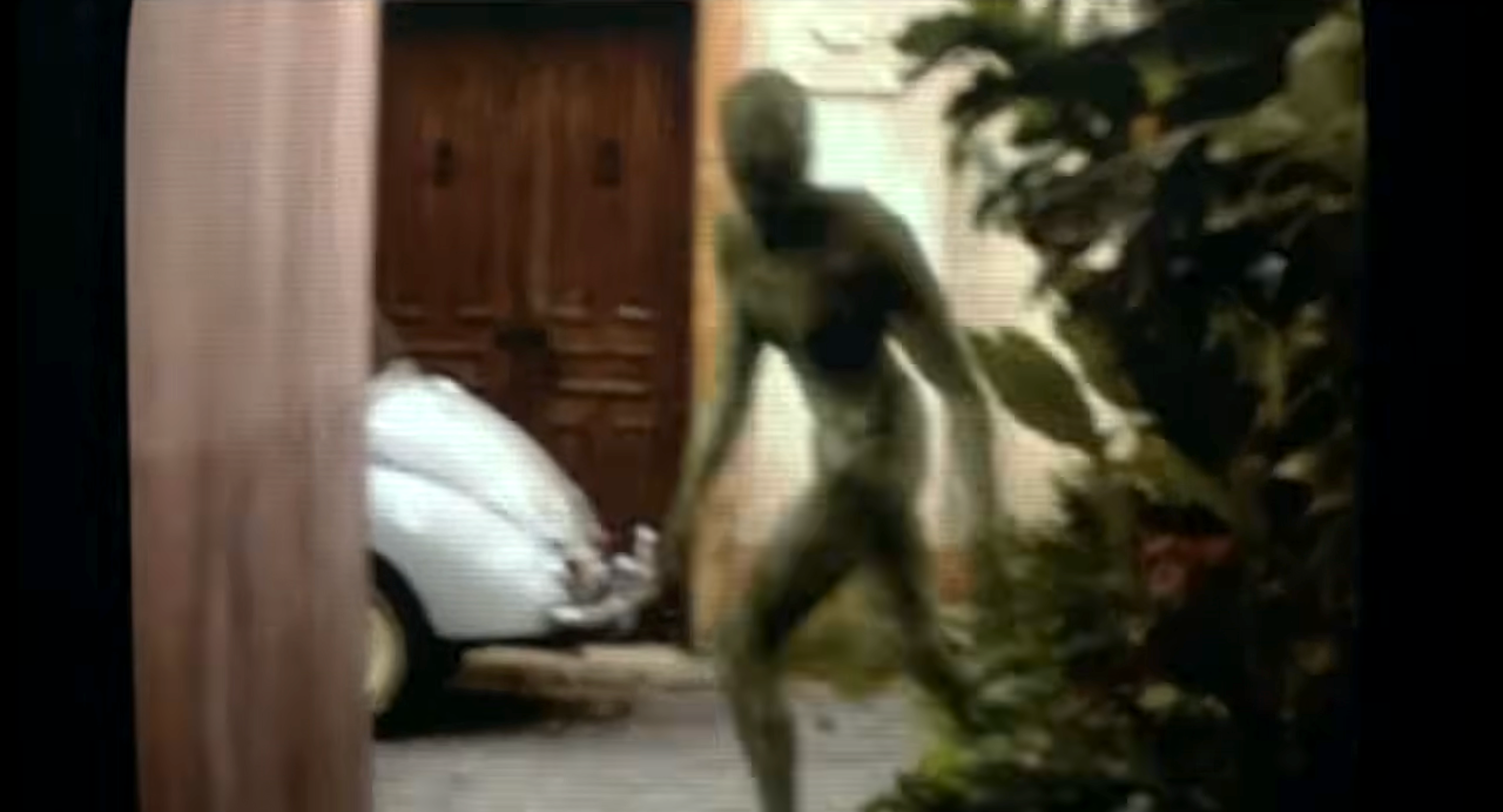 Blurry representation  of a humanoid alien moving rapidly  retired  of a bush
