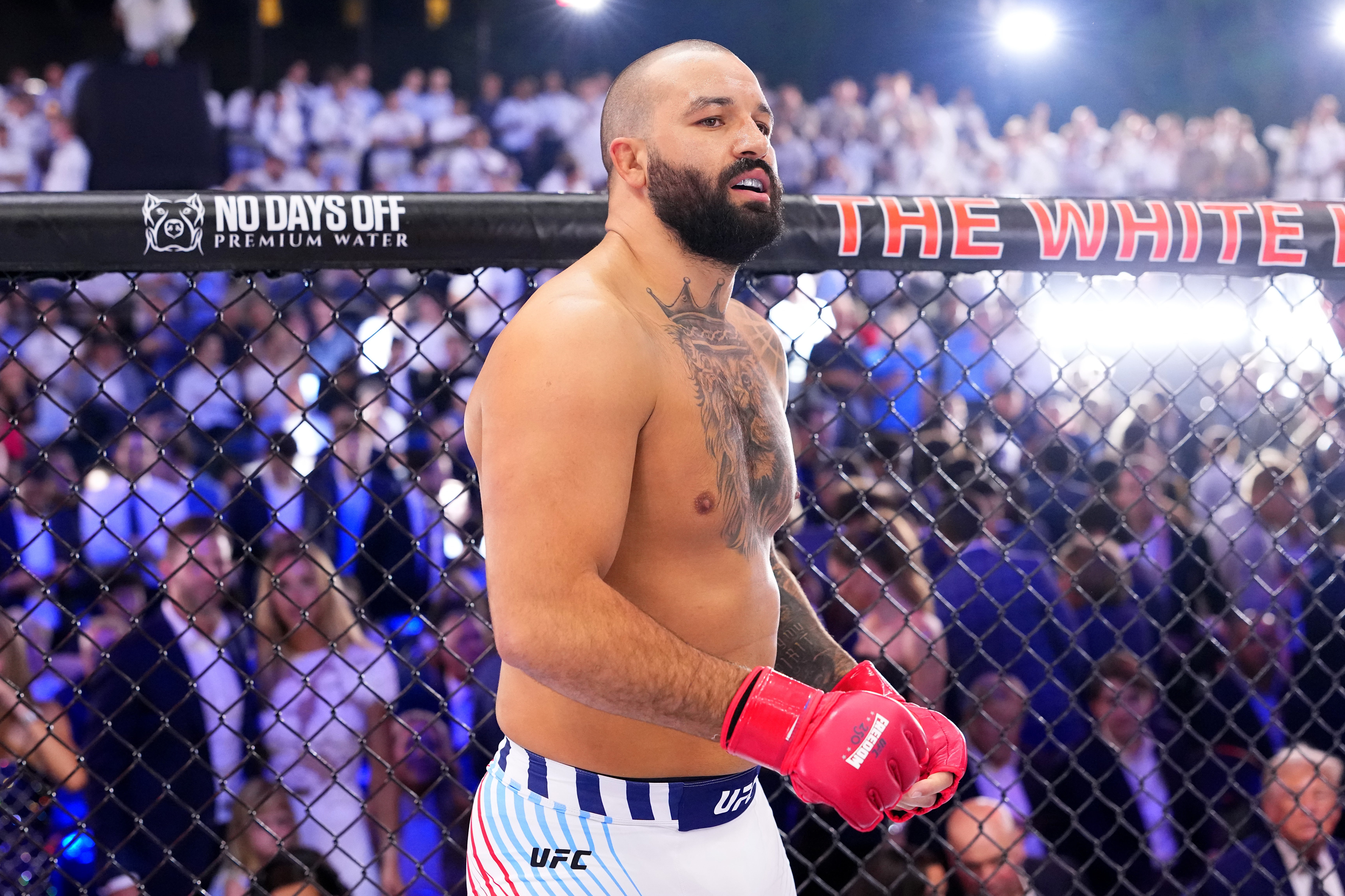 MMA combatant successful a UFC octagon, wearing gloves and cogwheel with a focused expression, surrounded by an assemblage successful an arena
