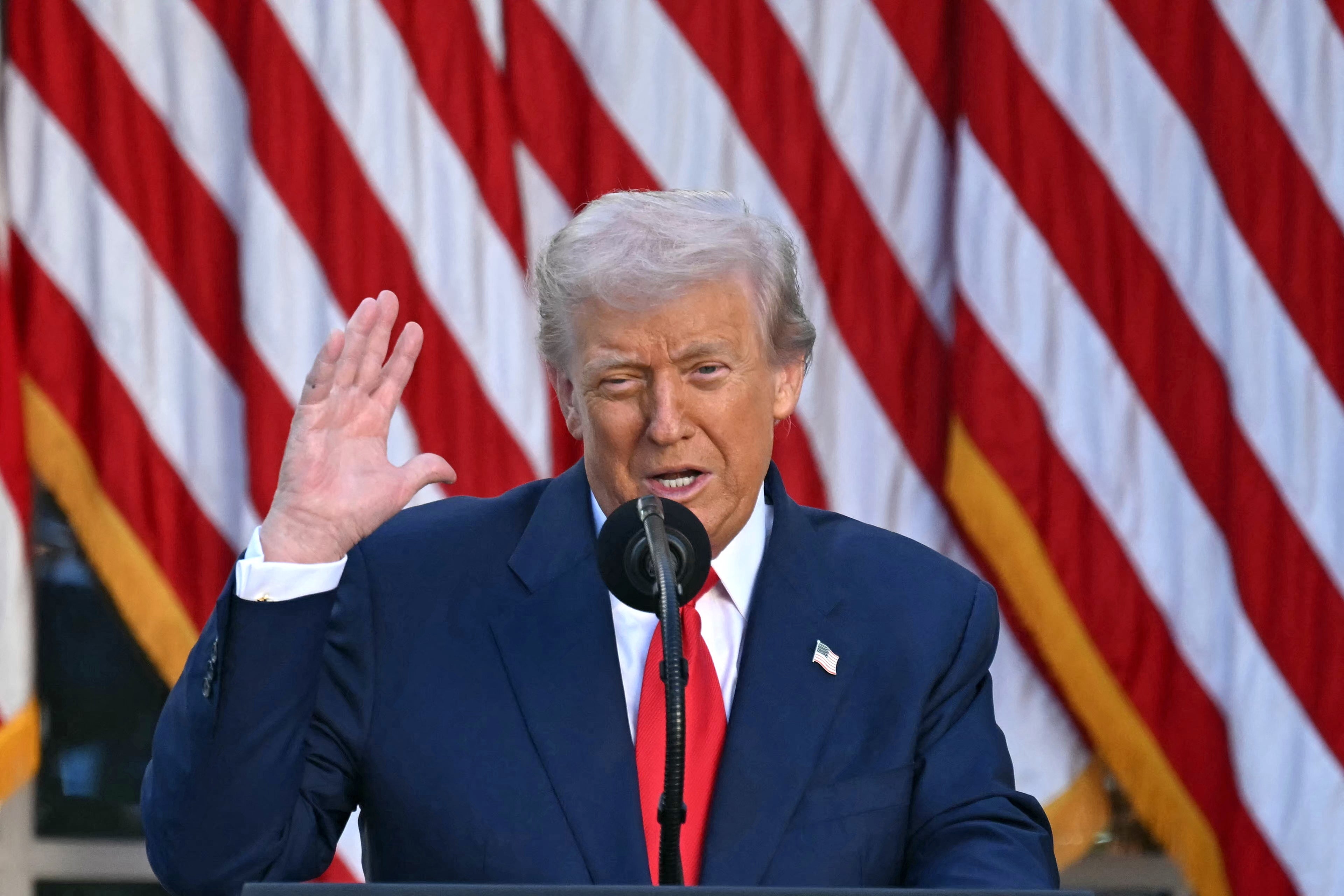 A idiosyncratic   speaks astatine  a podium with microphones, successful  beforehand   of a backdrop of vertical striped flags
