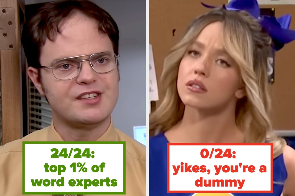 Split image: Left shows a person labeled as "top 1% of word experts," right shows a person labeled "yikes, you're a dummy."