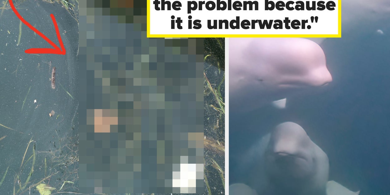 30 Disasters We're All Overlooking Despite The Evidence