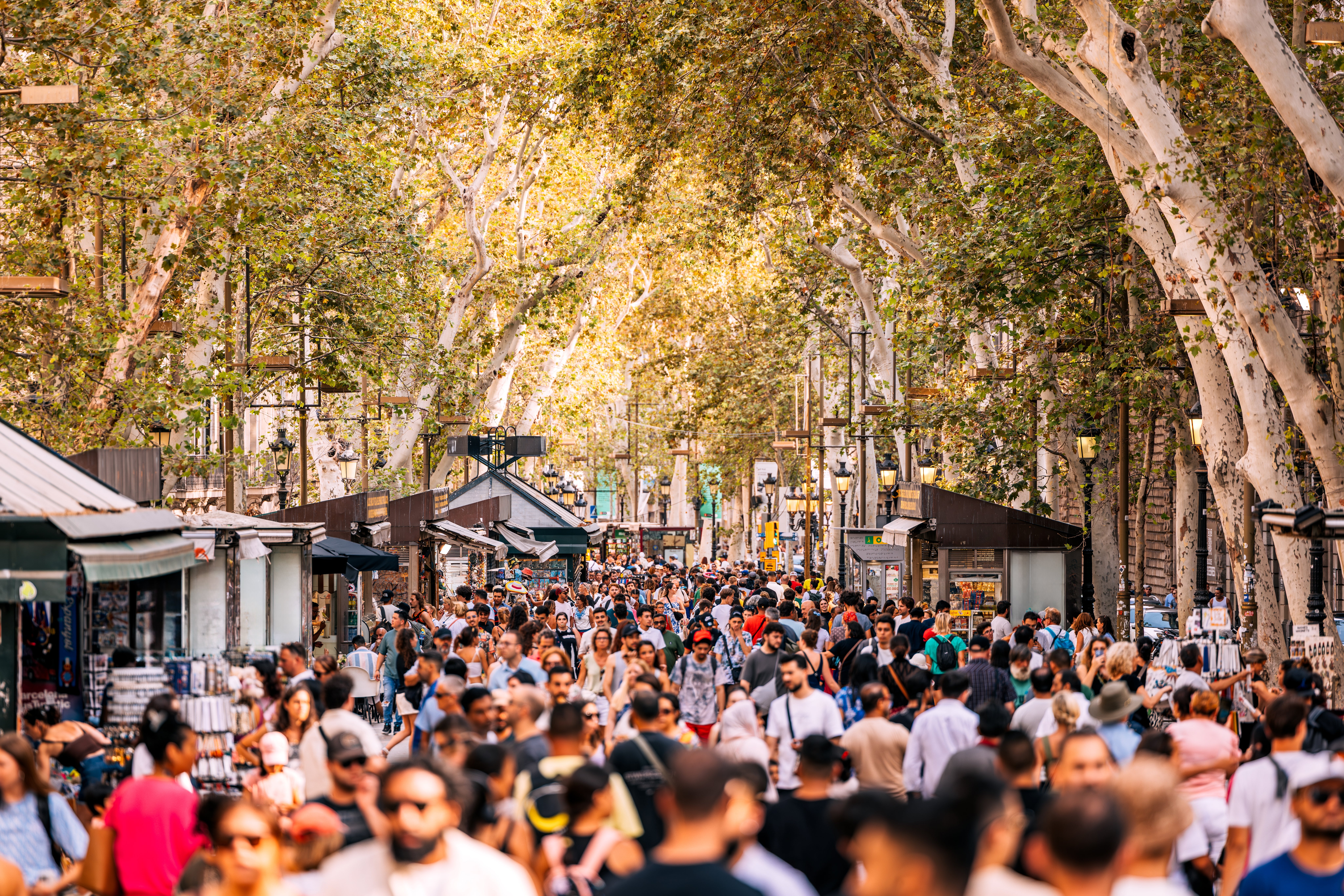 A busy, tree-lined thoroughfare filled with radical walking and exploring outdoor shops nether leafy branches