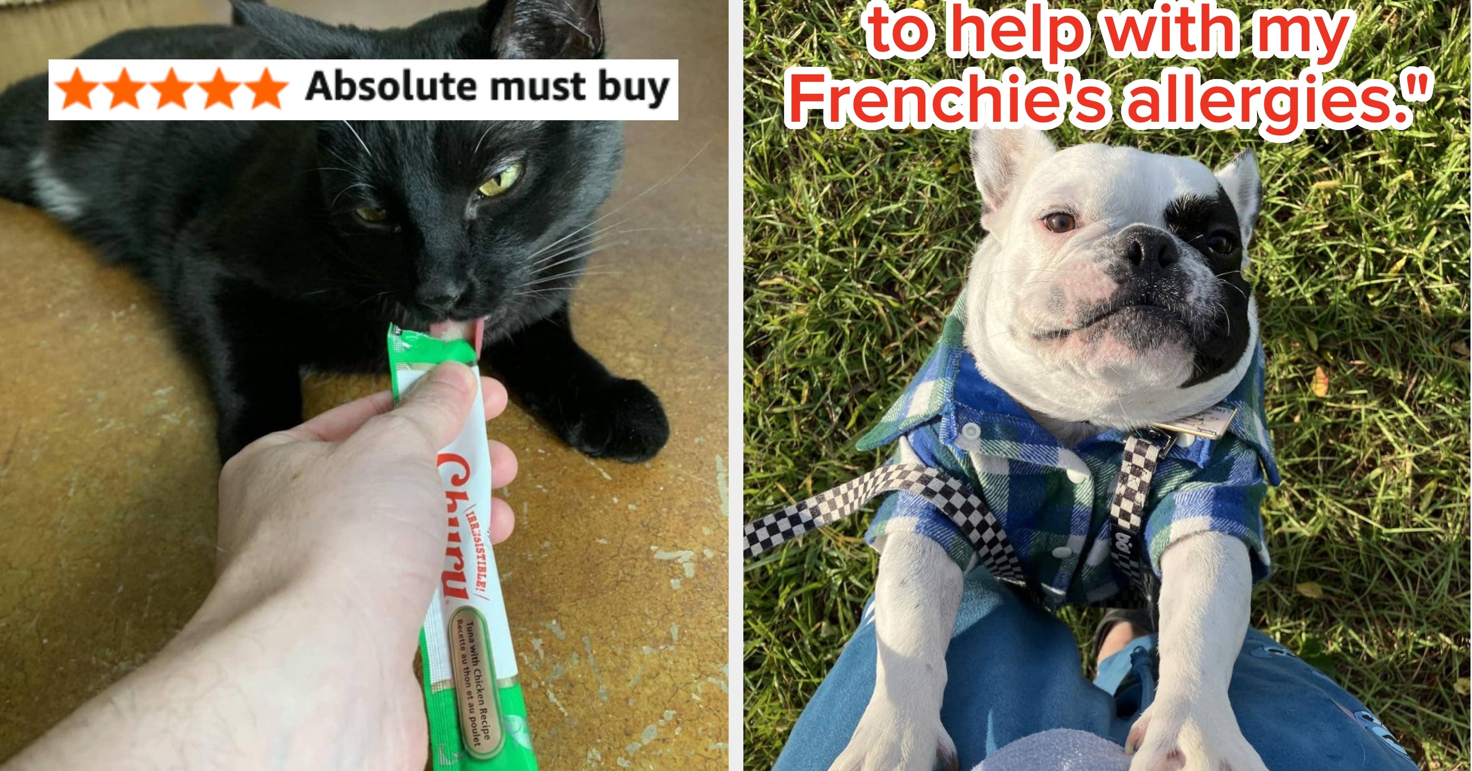 All The Best Prime Day Deals For Dog Owners