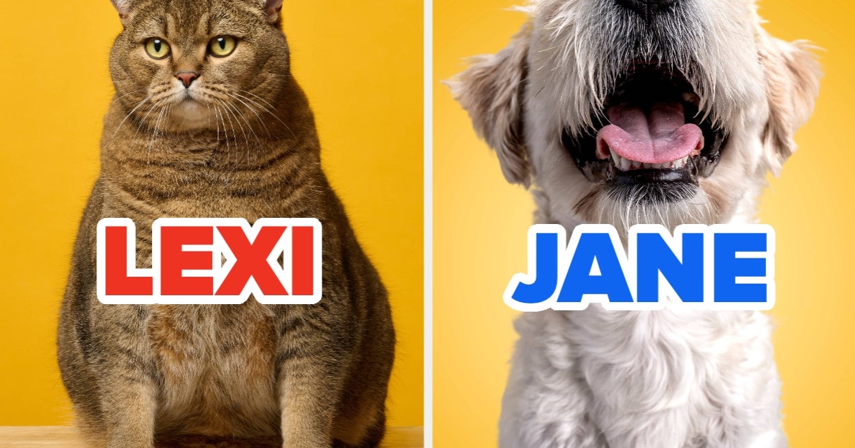 Choose Your Favorite Names And We'll Reveal What Animal You Actually Are