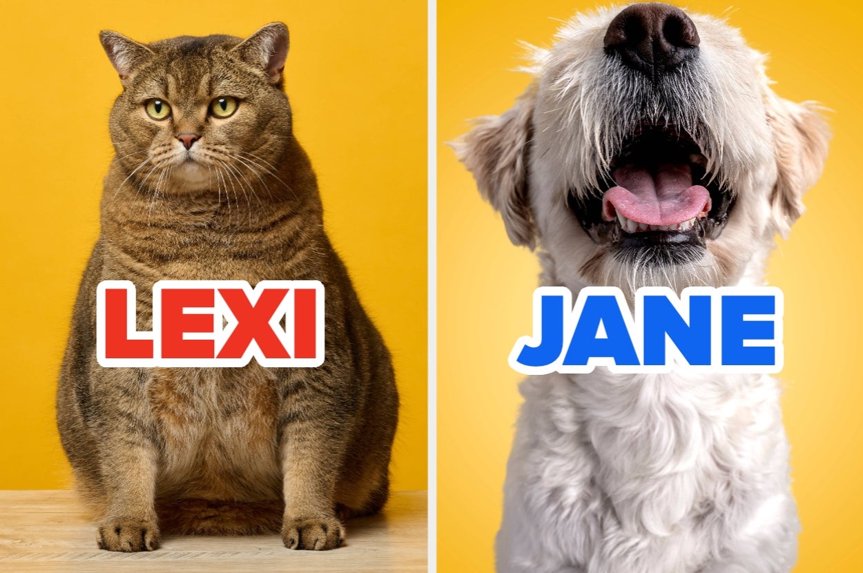 A tabby cat labeled "Lexi" sits on the left; a fluffy dog labeled "Jane" with its mouth open is on the right