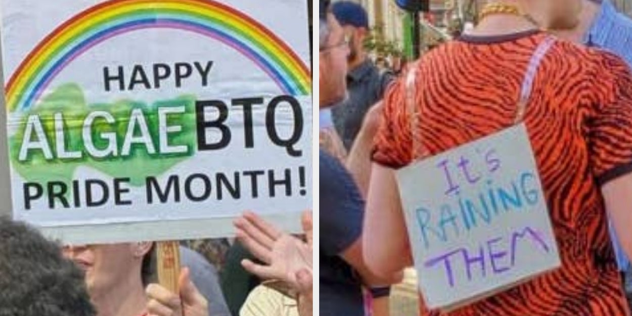Funniest Pride Parade Signs That Will Brighten Your Day