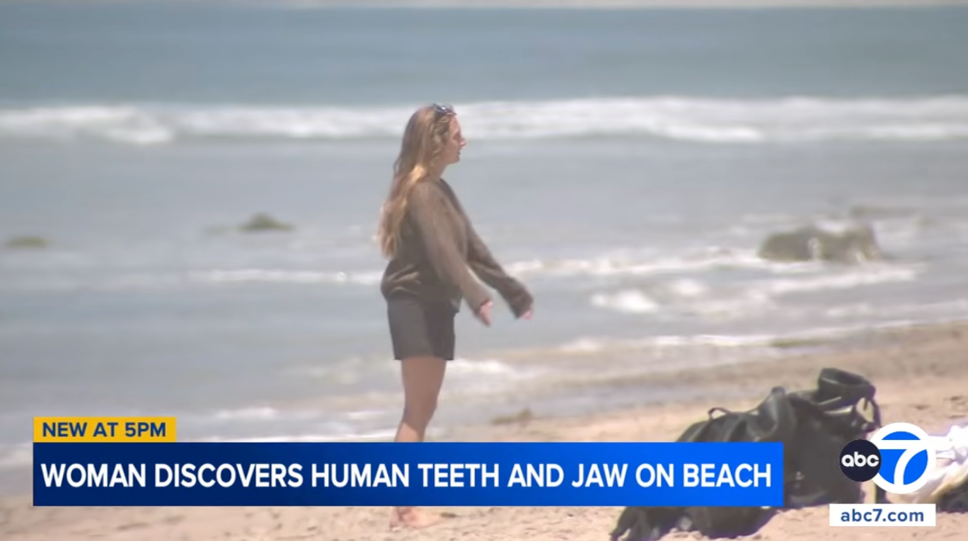  "Woman discovers quality  teeth and jaw connected  beach." ABC7 quality    logo