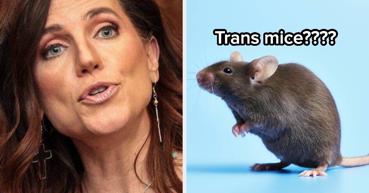 Nancy Mace's Unhinged Rant About Transgender Mice Just Earned Her The Most Embarrassing Fact-Check Of The Year