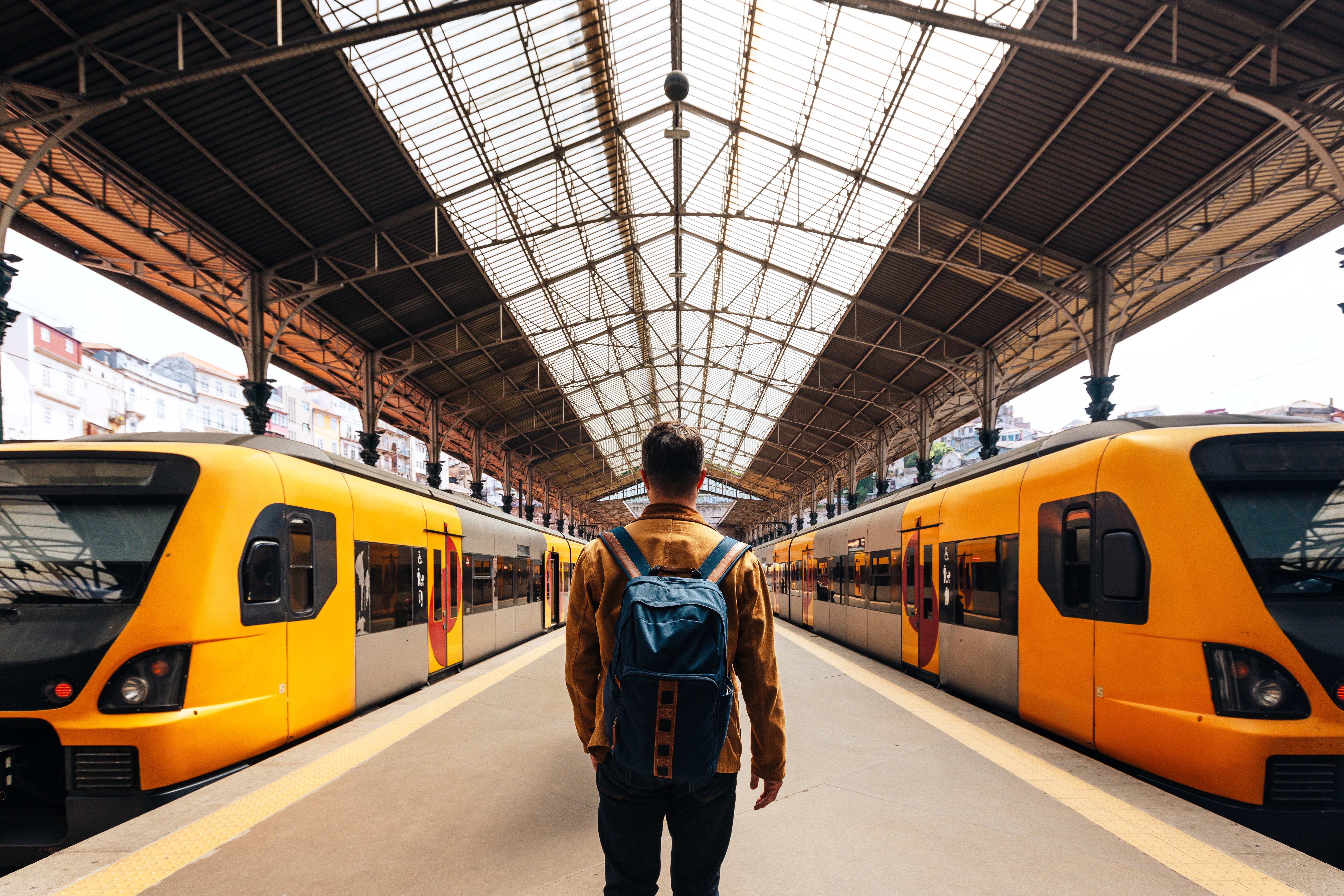 Person with a backpack stands between two trains in a station, facing away. Station has an expansive, arched ceiling