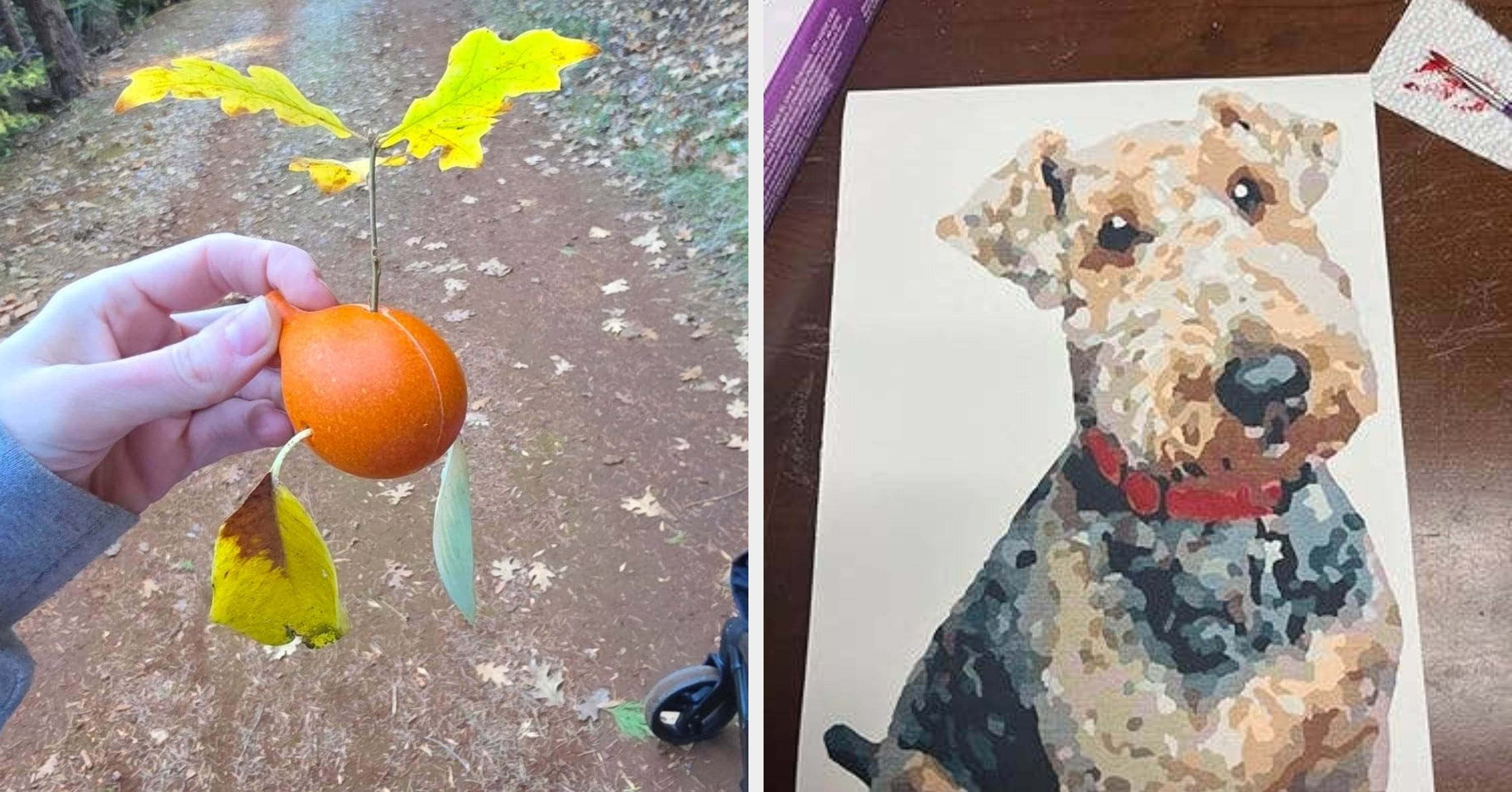 37 Gifts From Amazon Our Readers Are Loving In 2026