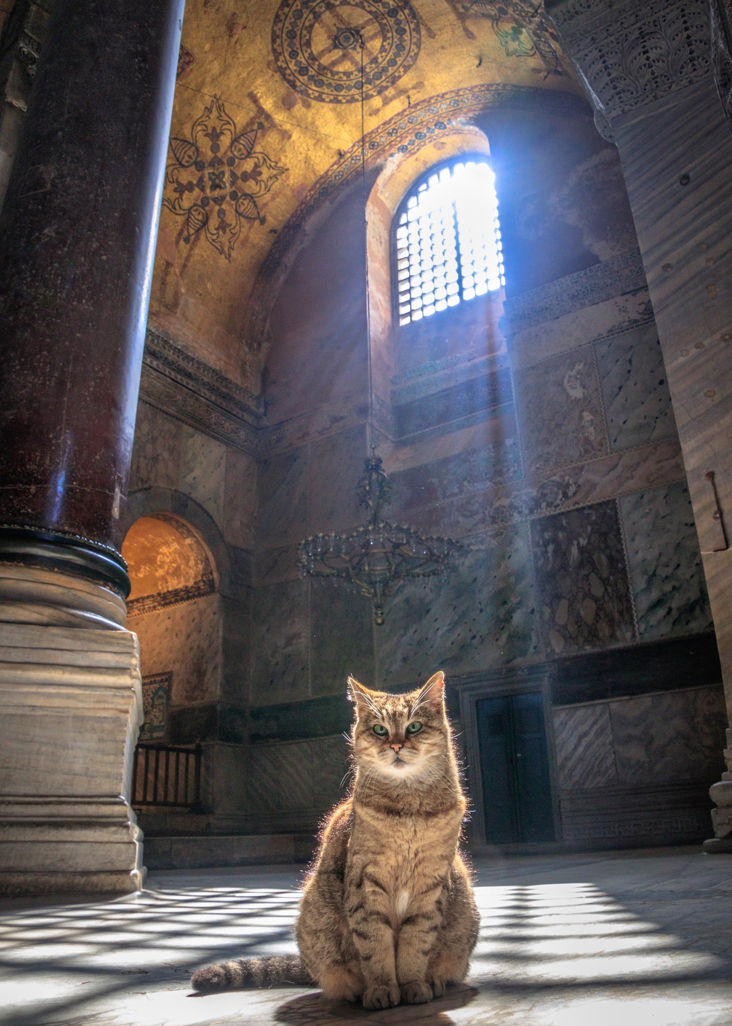イメージ写真（Feng Wei Photography / Getty Images）