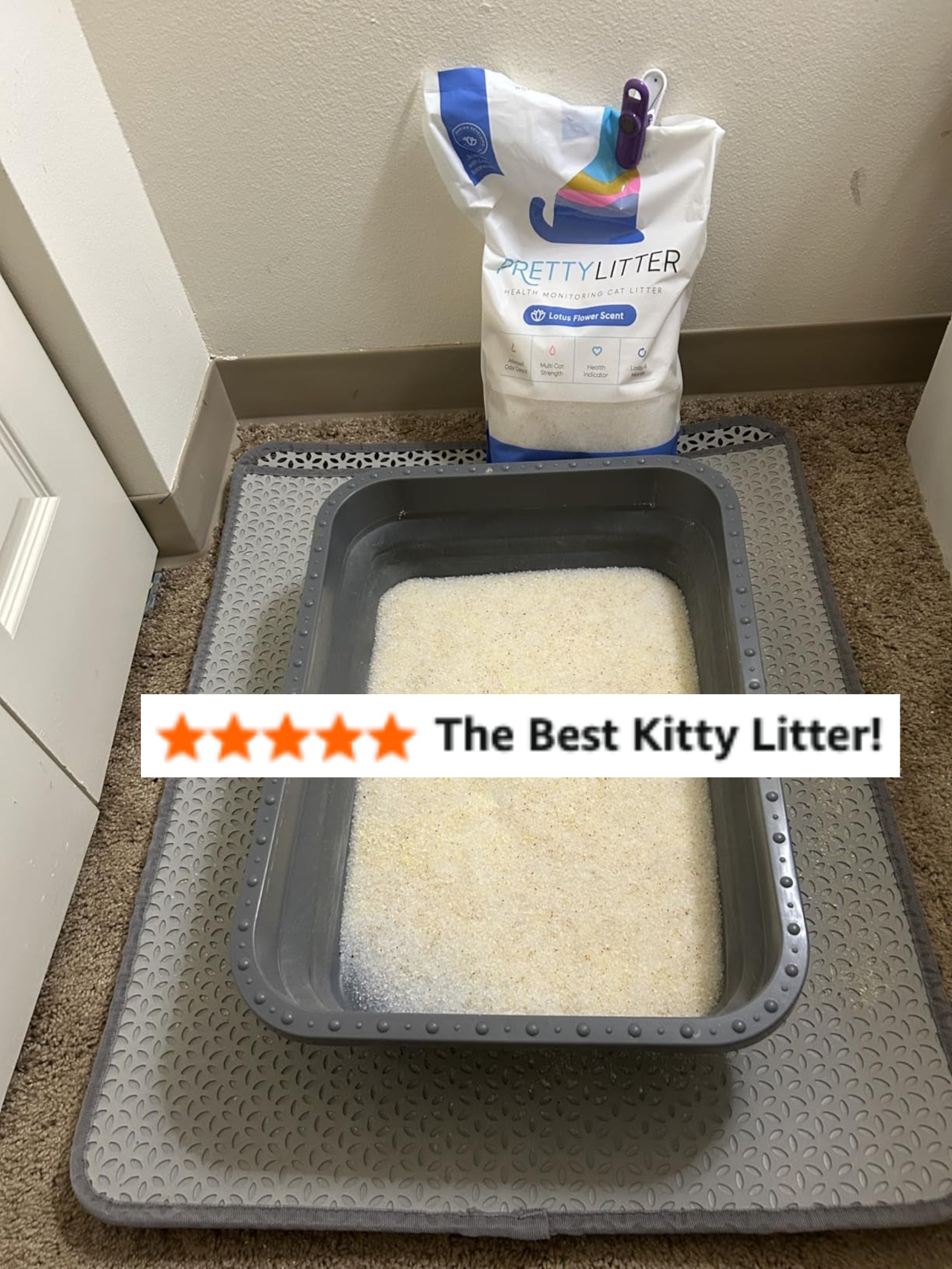 Kitty litter box on mat with Pretty Litter bag in the background; article on pet products