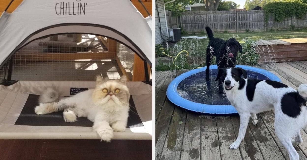 27 Pet Products You’ll Be Convinced To Buy From The Reviewer Pics Alone