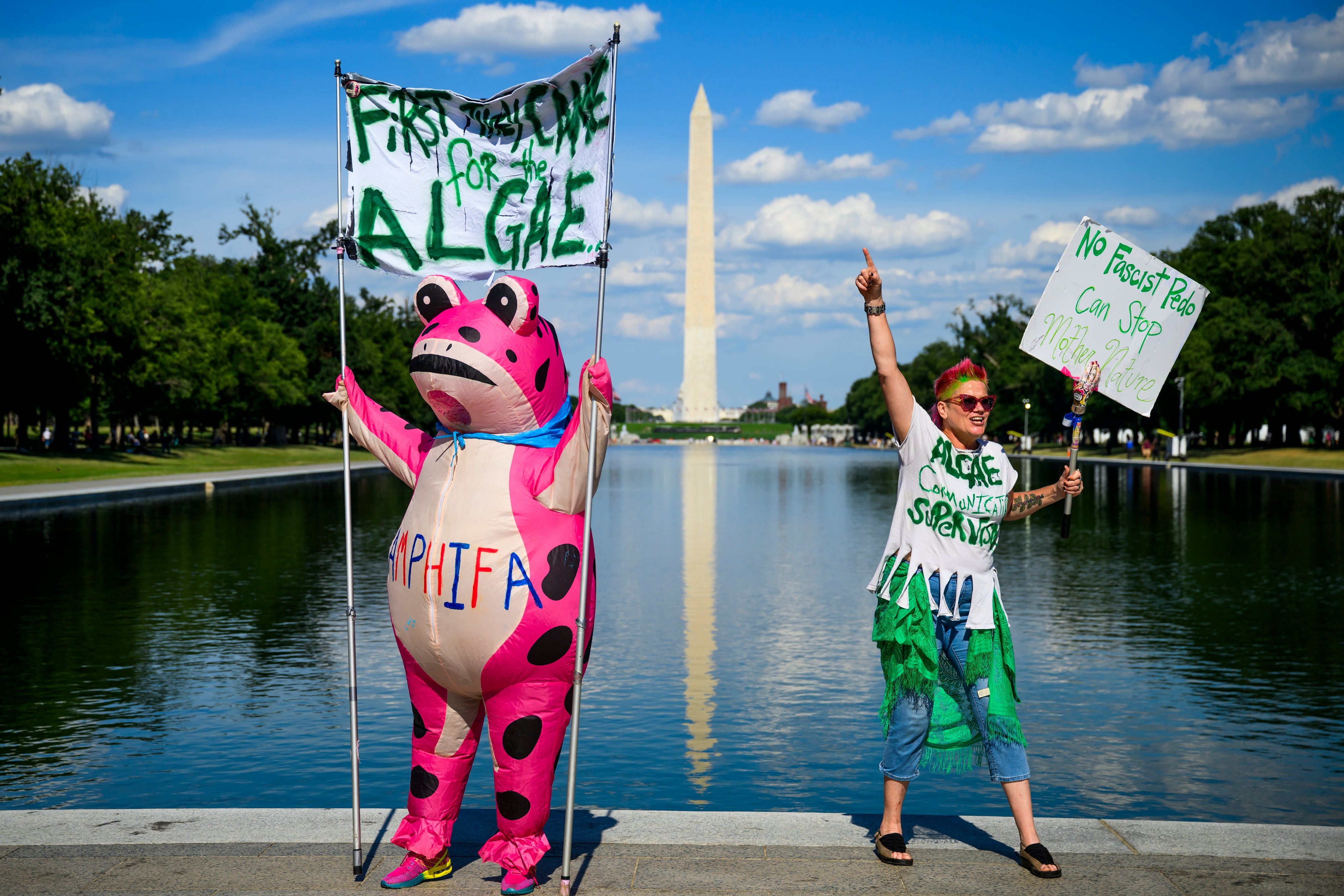 Two protestors astatine a Washington D.C. reflecting pool; 1 successful a pinkish frog costume and different holding signs astir protecting algae