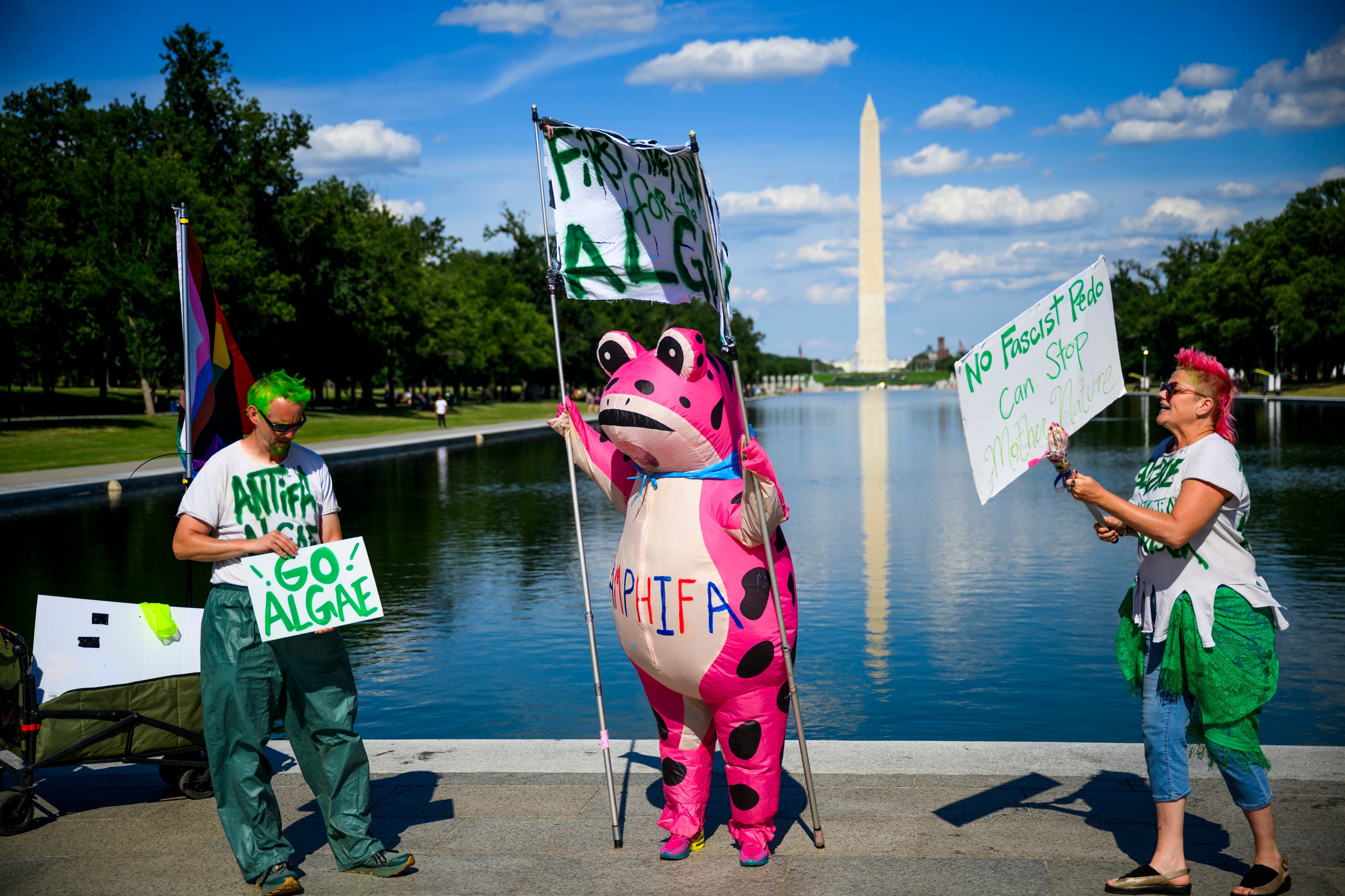 People successful greenish costumes and signs protestation for algae successful beforehand of the Washington Monument