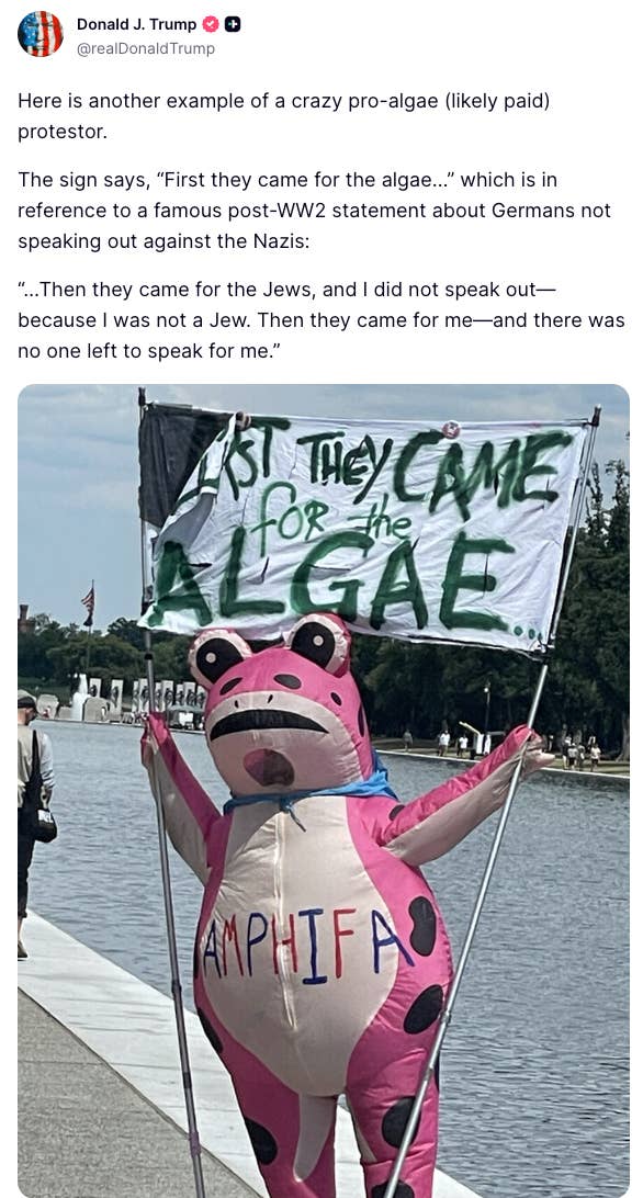 Person successful  a pinkish  carnal  costume holds a motion   saying "First they came for the algae," referencing a post-WW2 connection    astir  speaking out