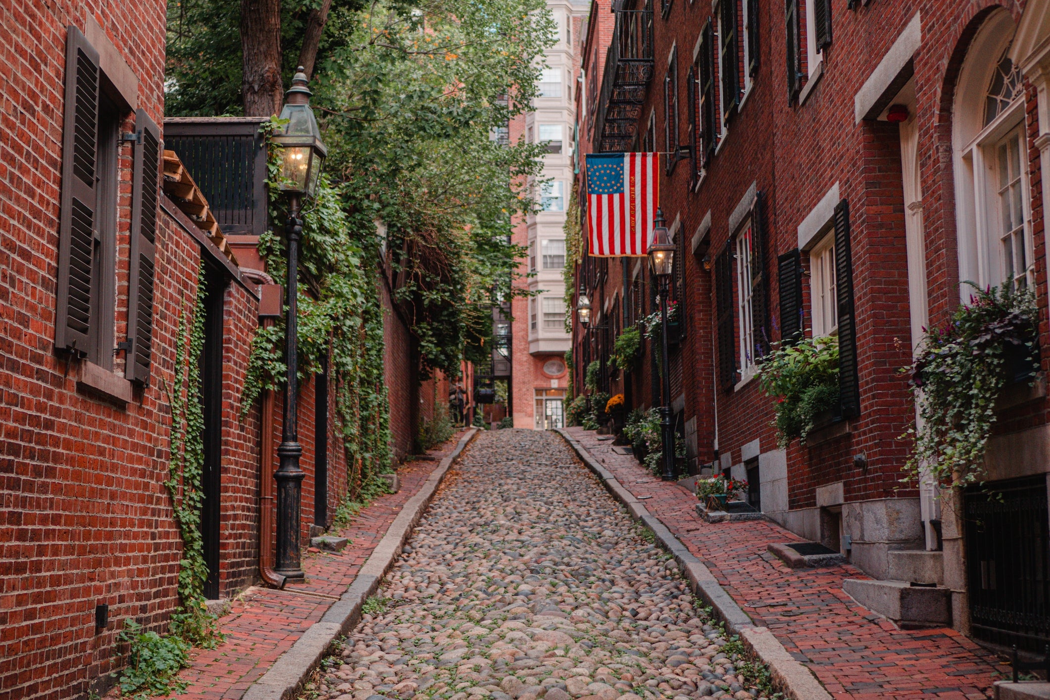 Cobblestone thoroughfare  lined with historical  ceramic  buildings, lush greenery, and an American flag